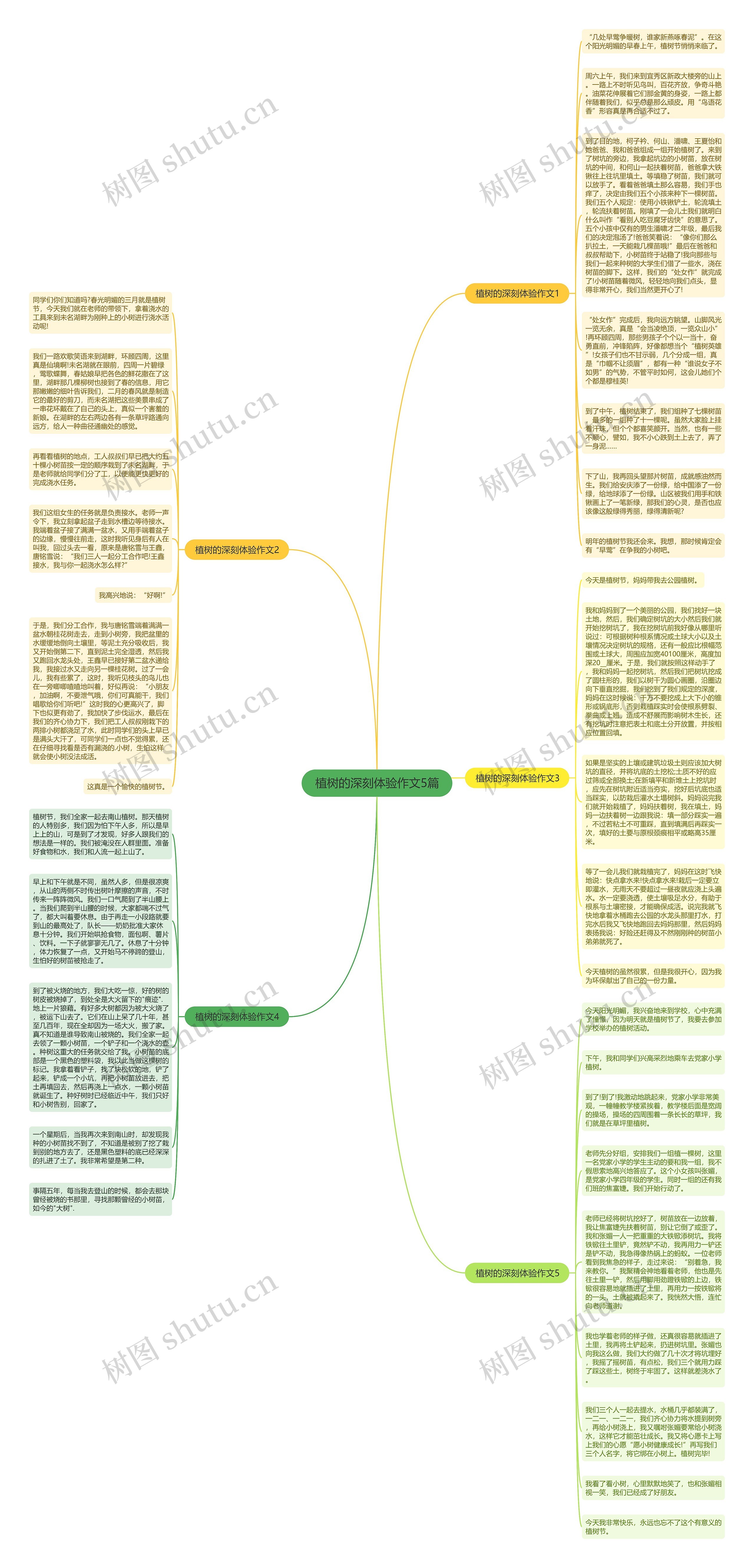 植树的深刻体验作文5篇思维导图