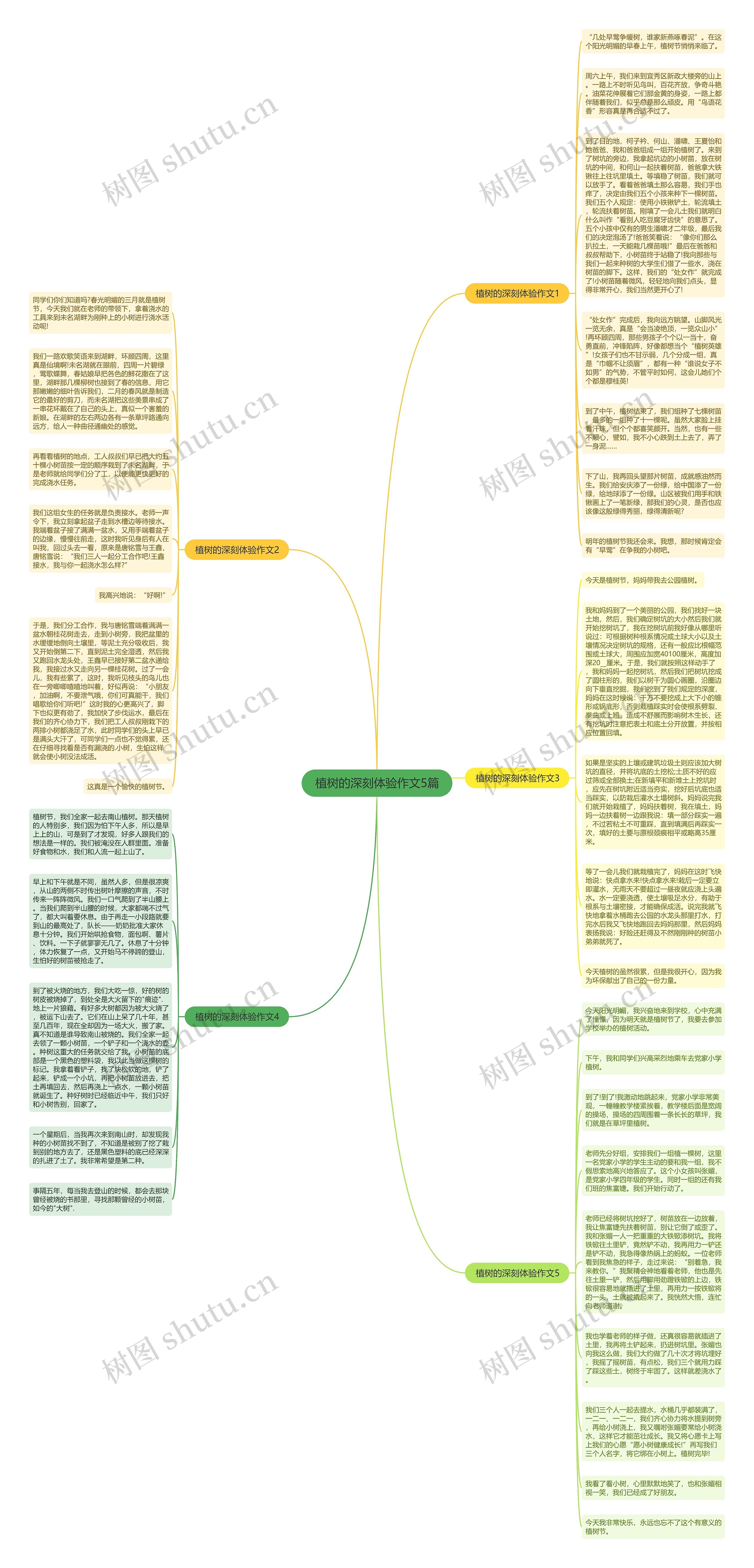植树的深刻体验作文5篇思维导图高清图 植树的深刻体验作文5篇思维导图