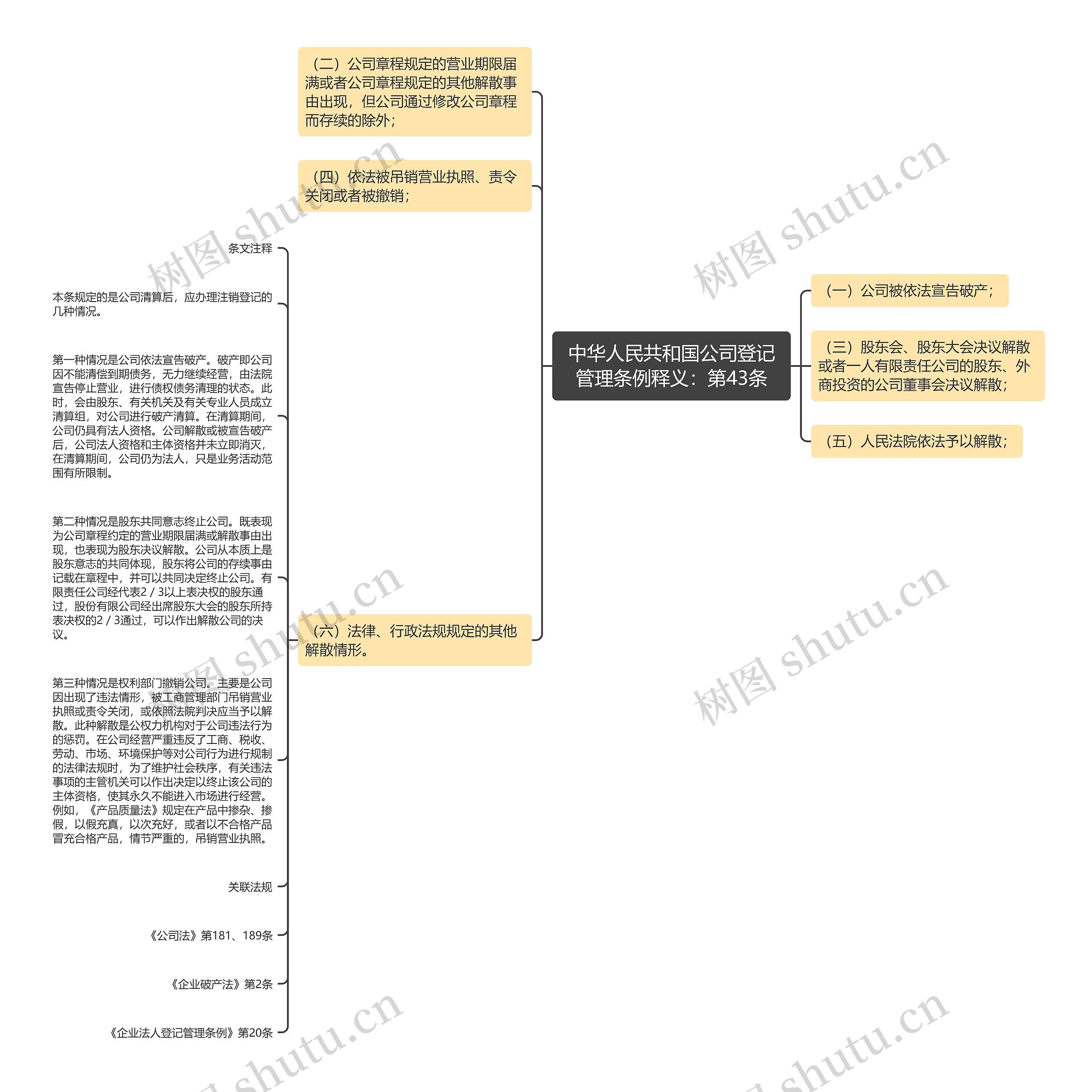 中华人民共和国公司登记管理条例释义：第43条