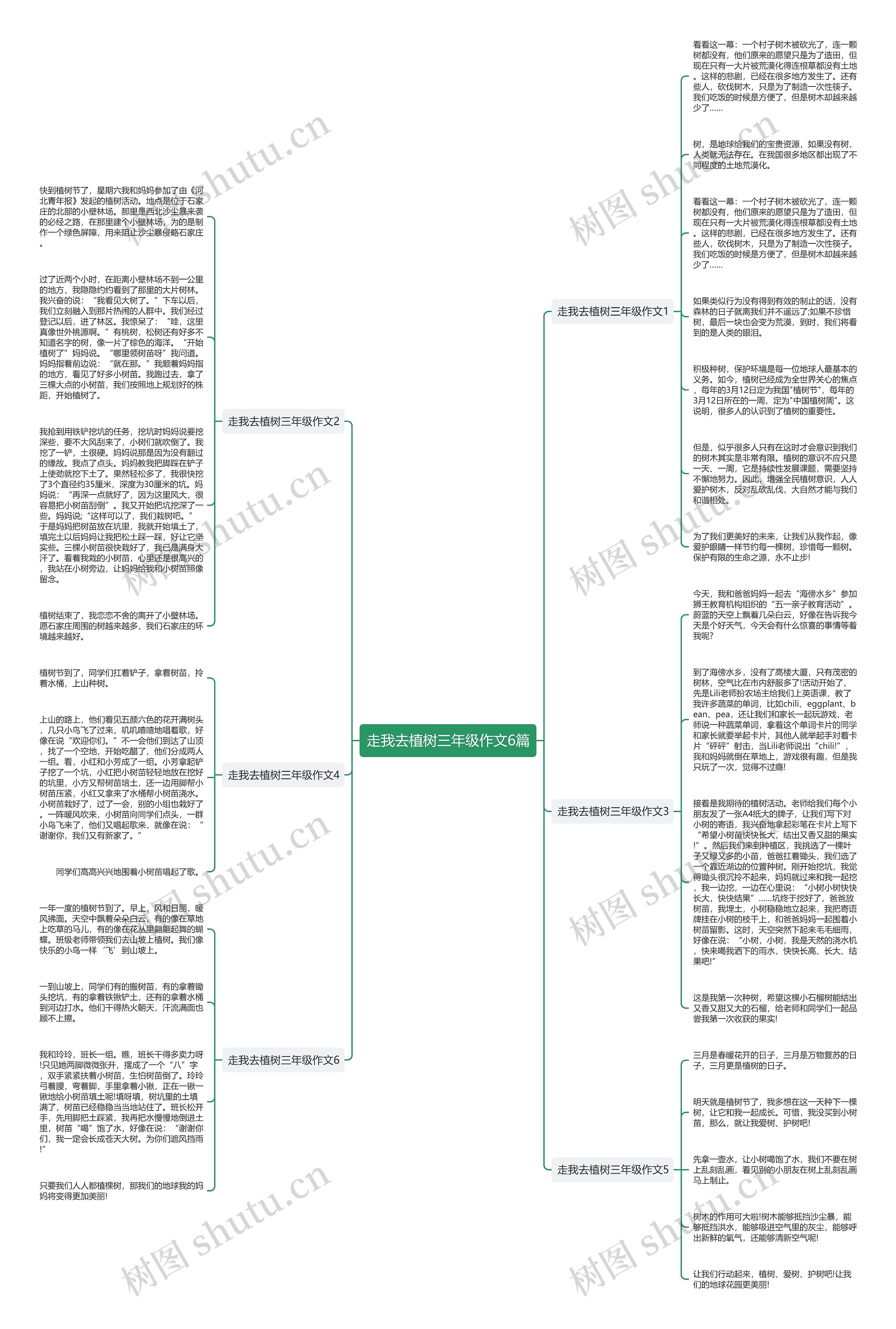 走我去植树三年级作文6篇思维导图