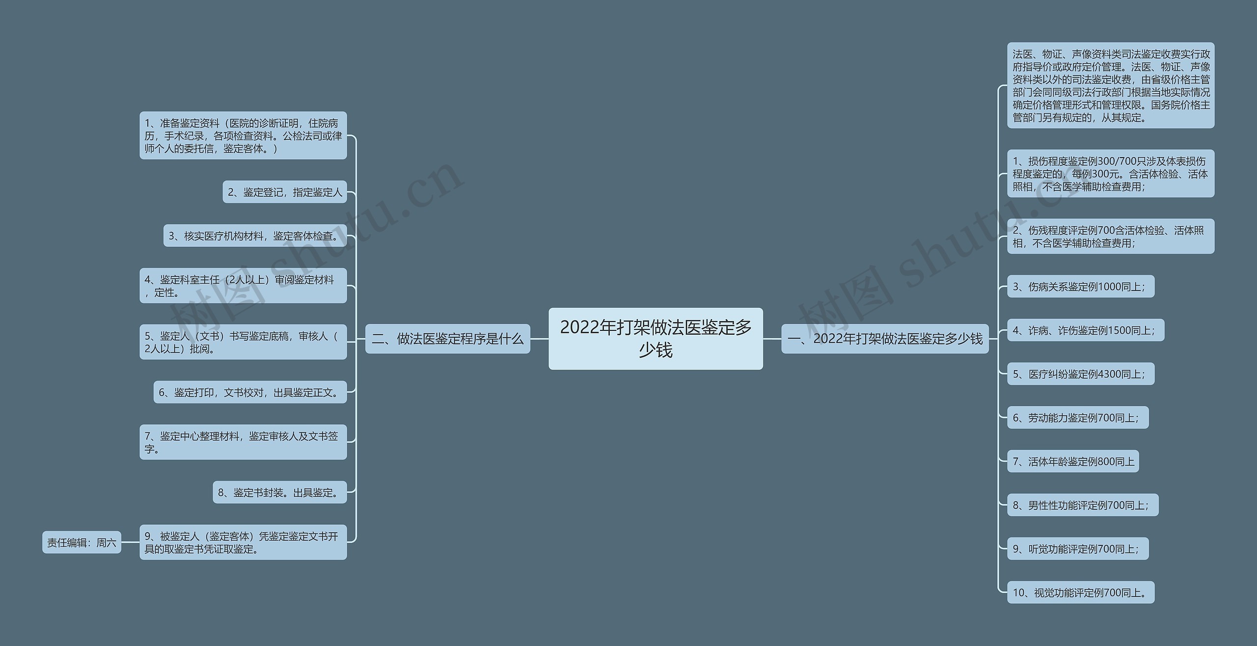 2022年打架做法医鉴定多少钱思维导图