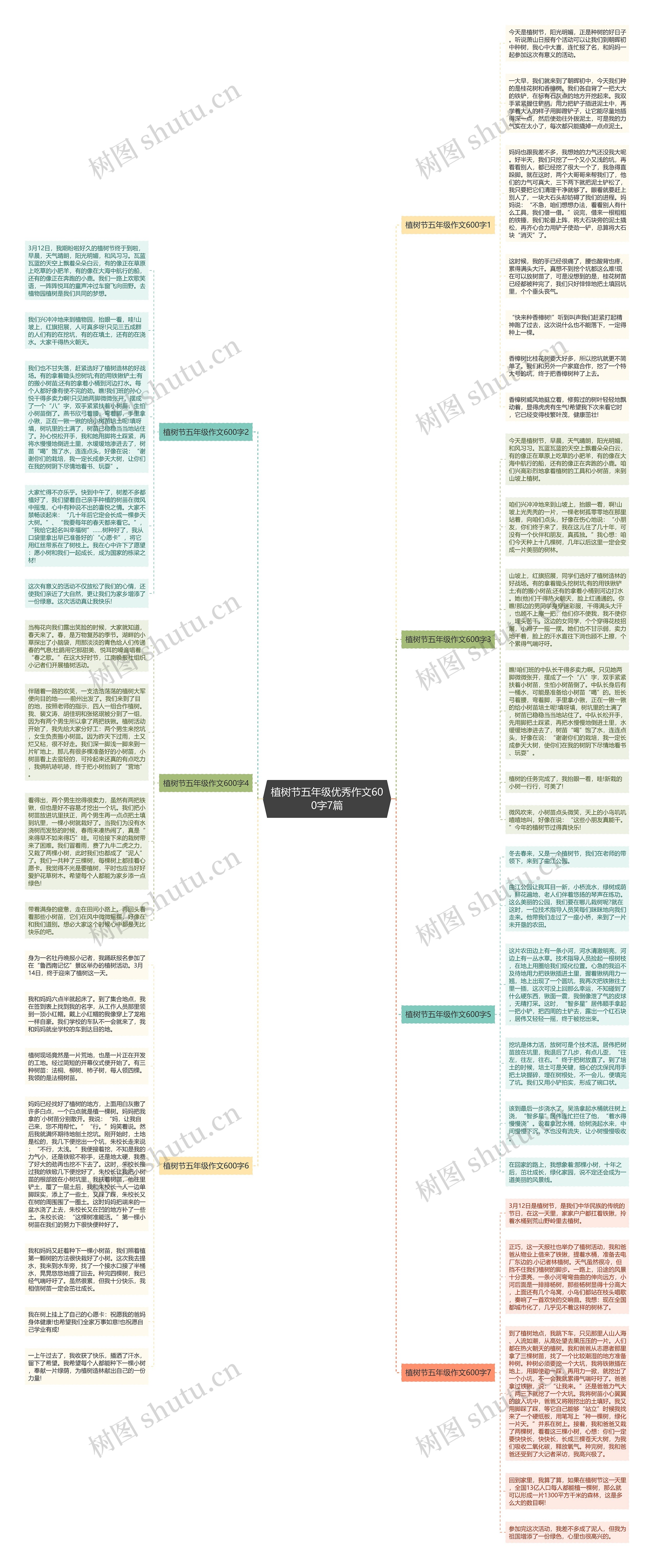 植树节五年级优秀作文600字7篇思维导图