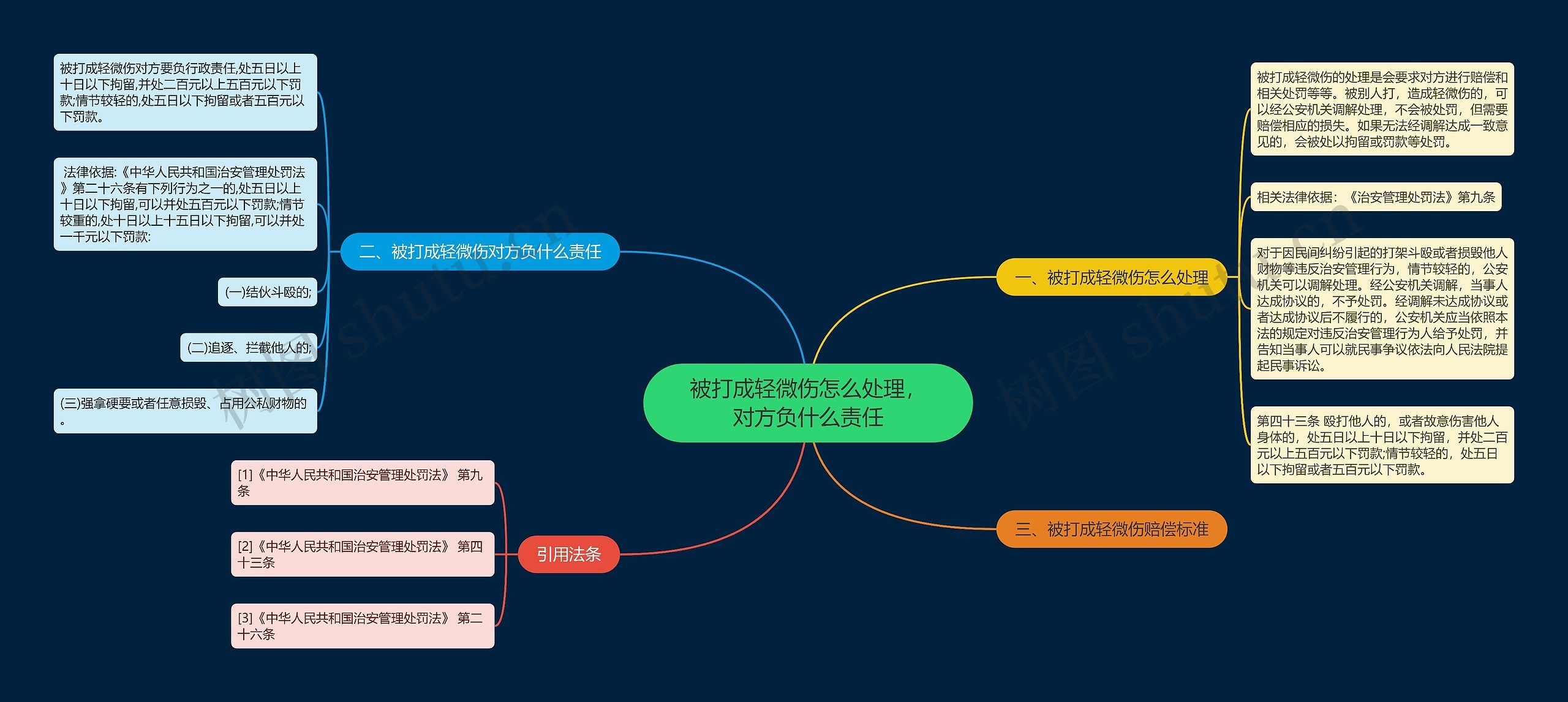 被打成轻微伤怎么处理，对方负什么责任思维导图