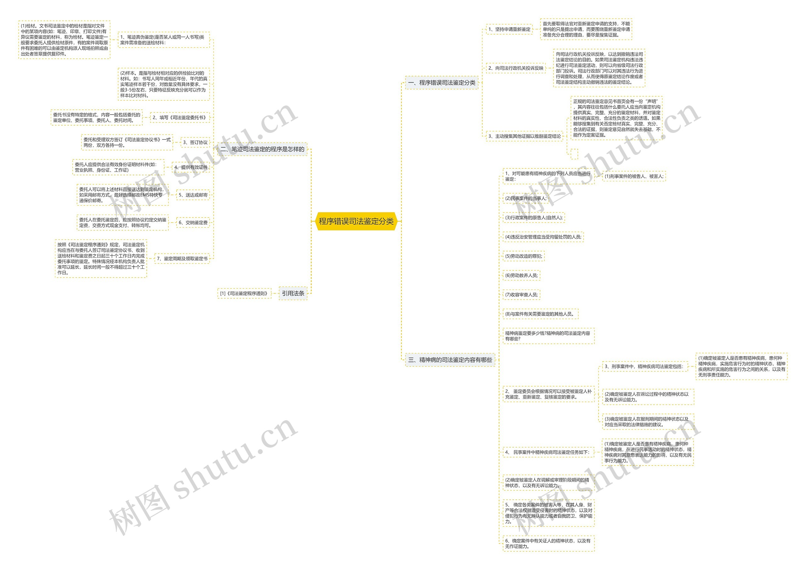 程序错误司法鉴定分类思维导图