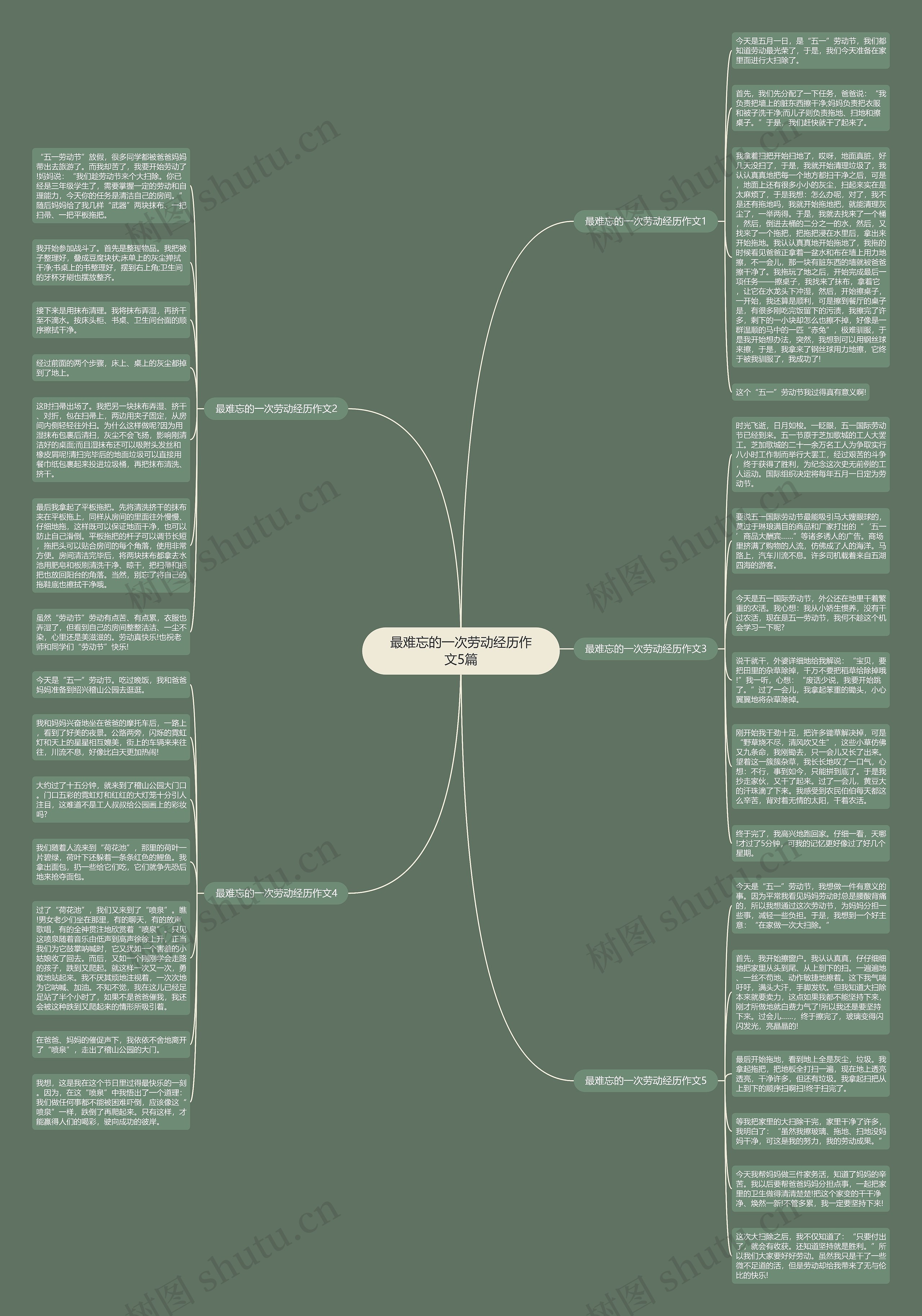 最难忘的一次劳动经历作文5篇思维导图