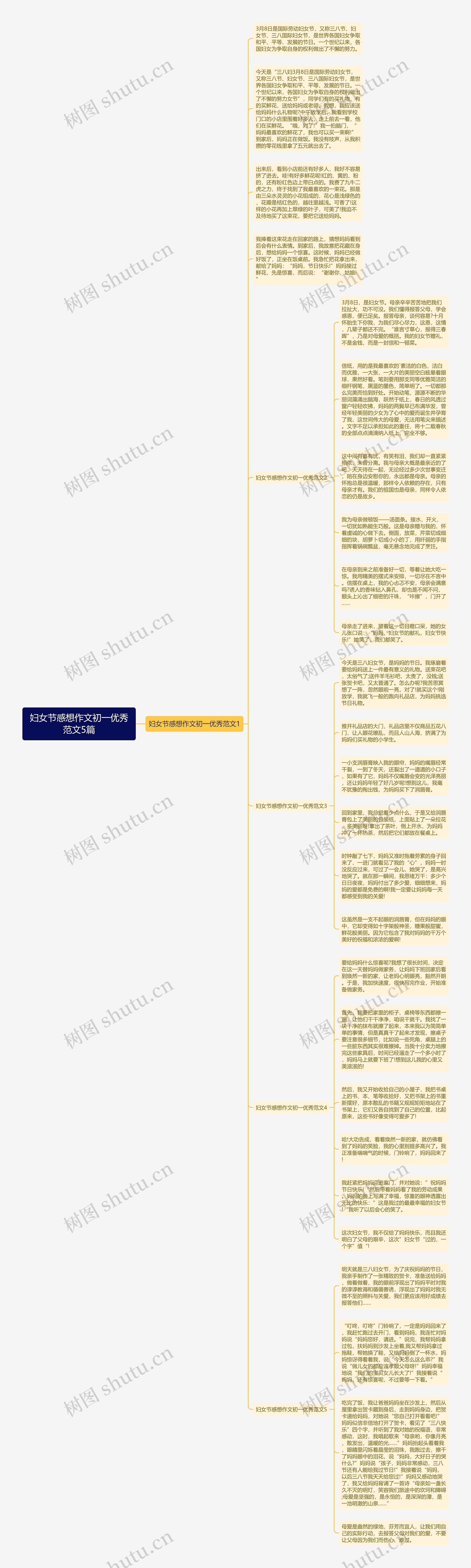 妇女节感想作文初一优秀范文5篇思维导图