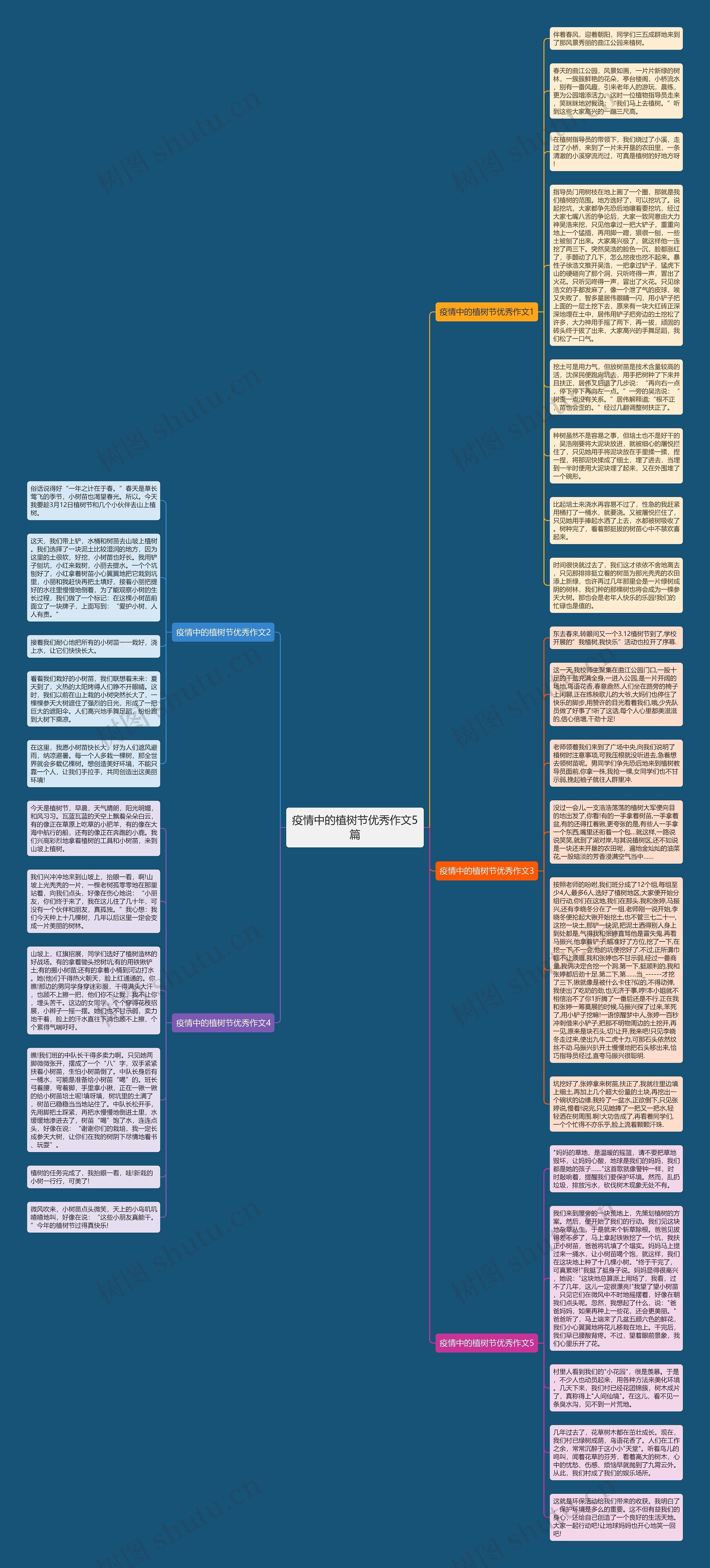 疫情中的植树节优秀作文5篇思维导图
