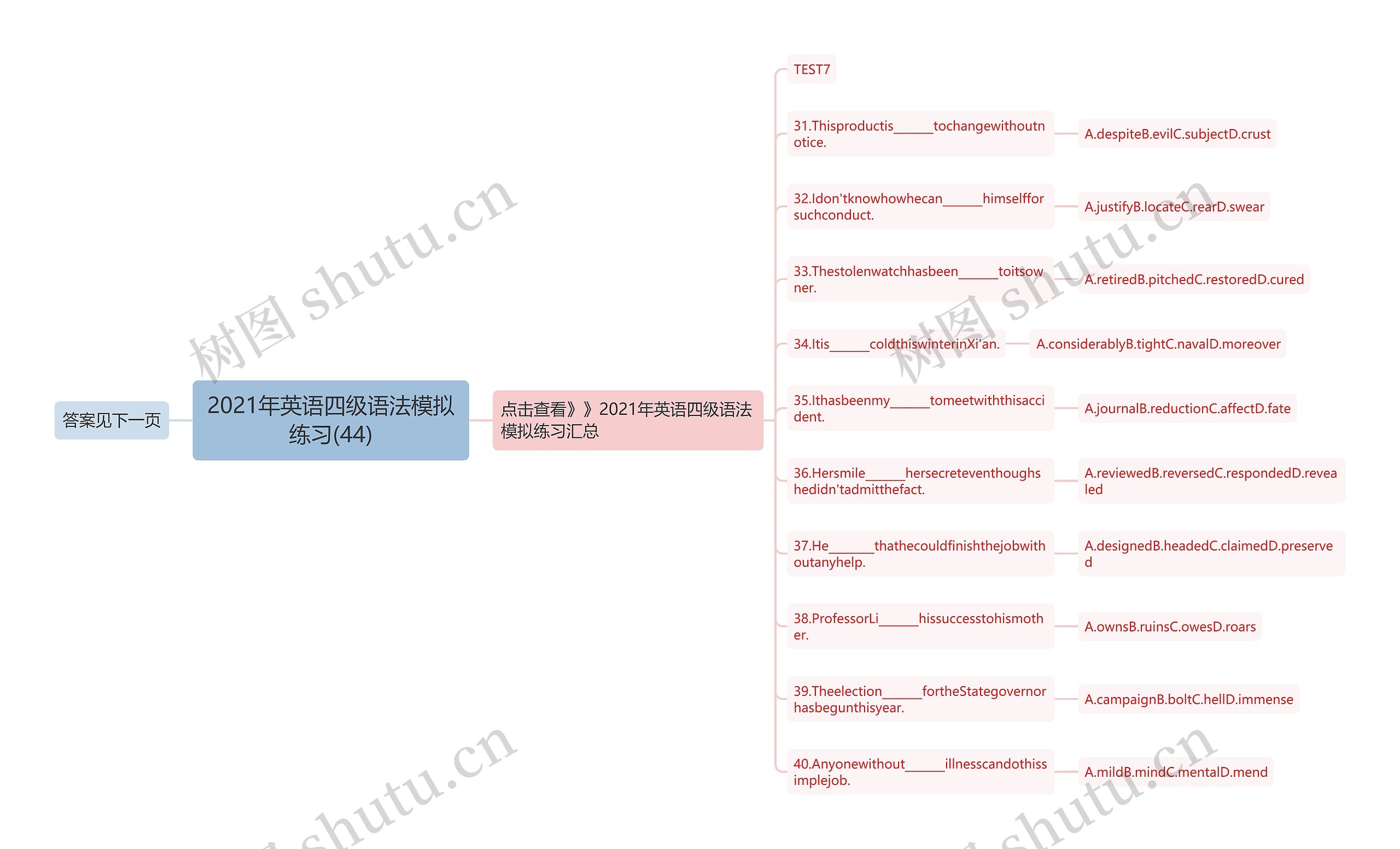 2021年英语四级语法模拟练习(44)思维导图