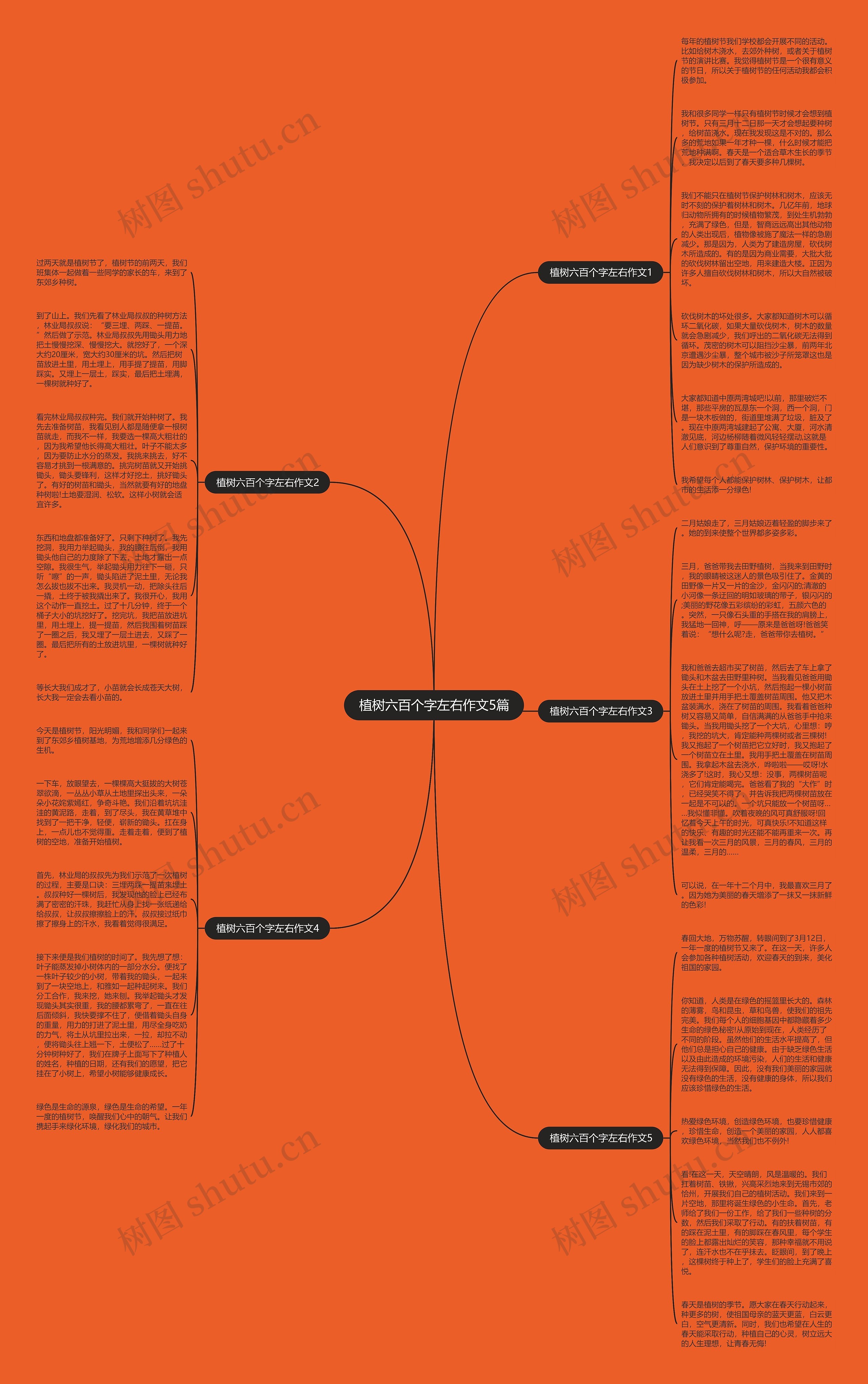 植树六百个字左右作文5篇