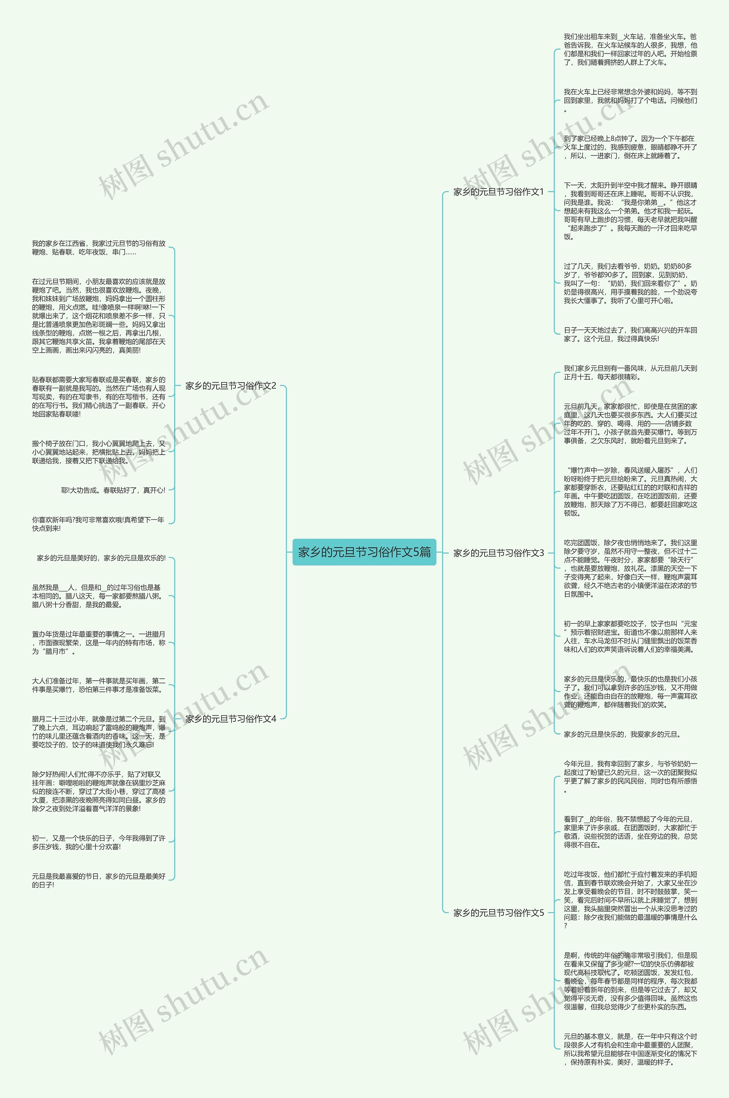 家乡的元旦节习俗作文5篇思维导图