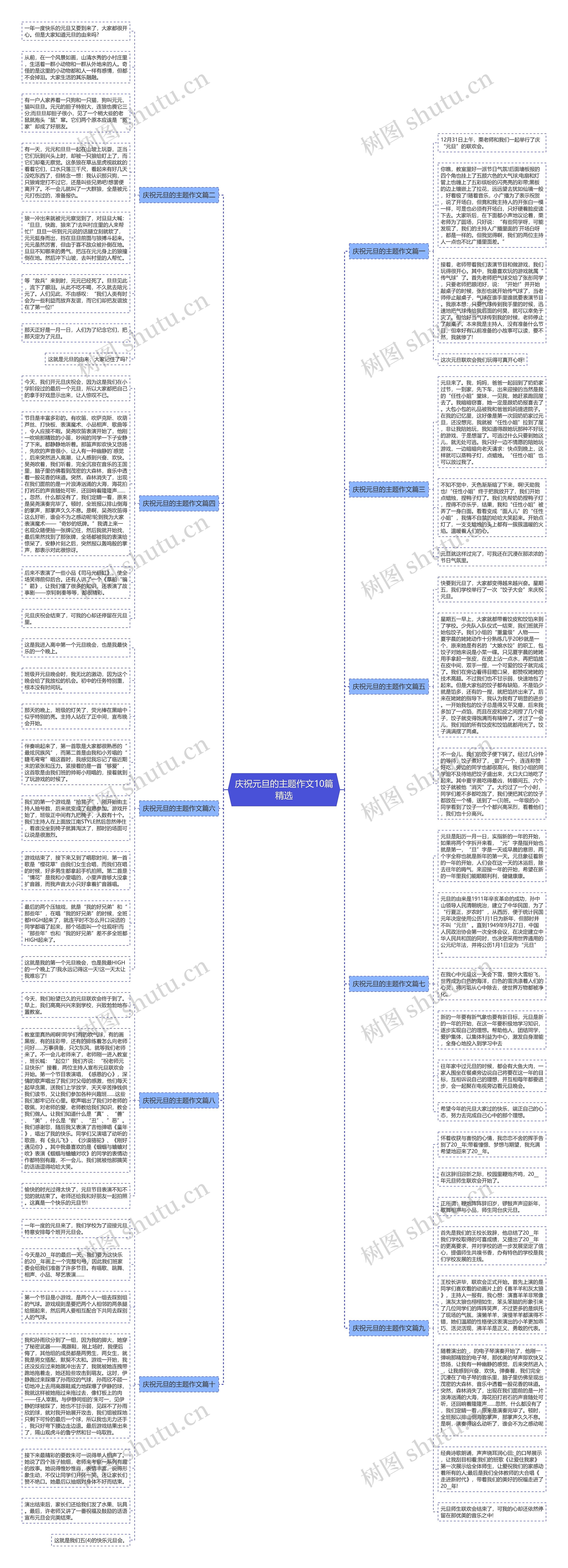 庆祝元旦的主题作文10篇精选思维导图