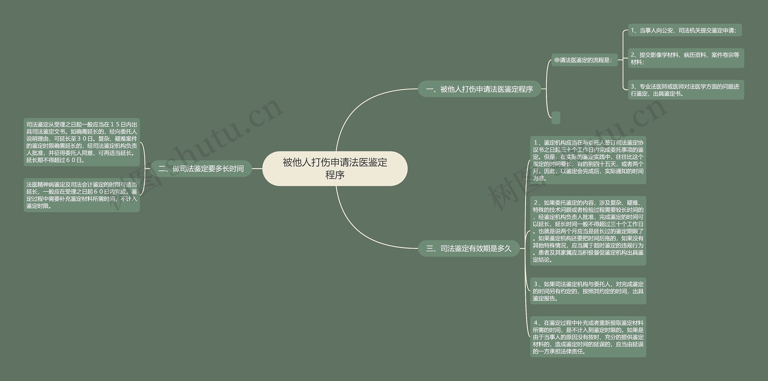 被他人打伤申请法医鉴定程序思维导图