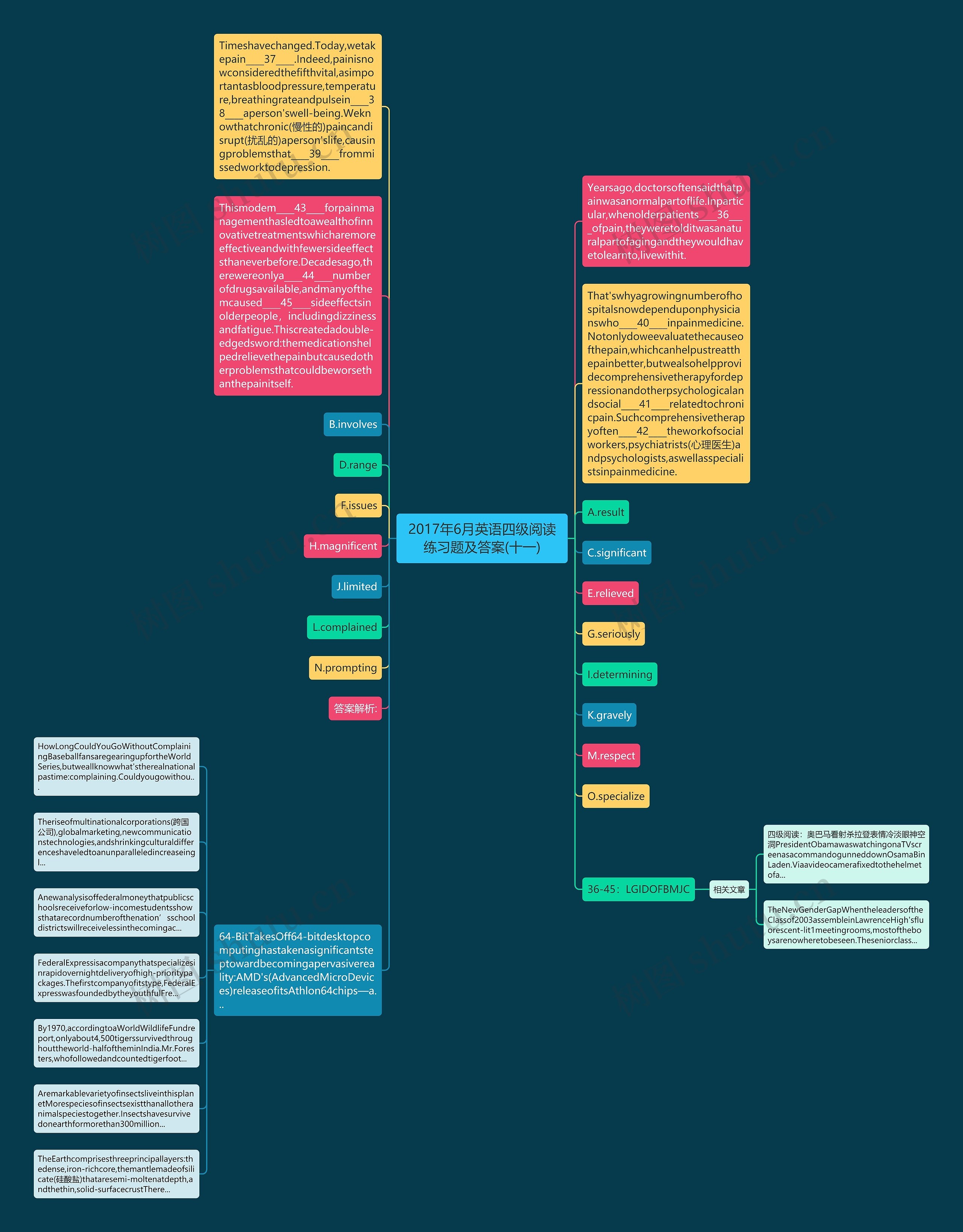 2017年6月英语四级阅读练习题及答案(十一)思维导图