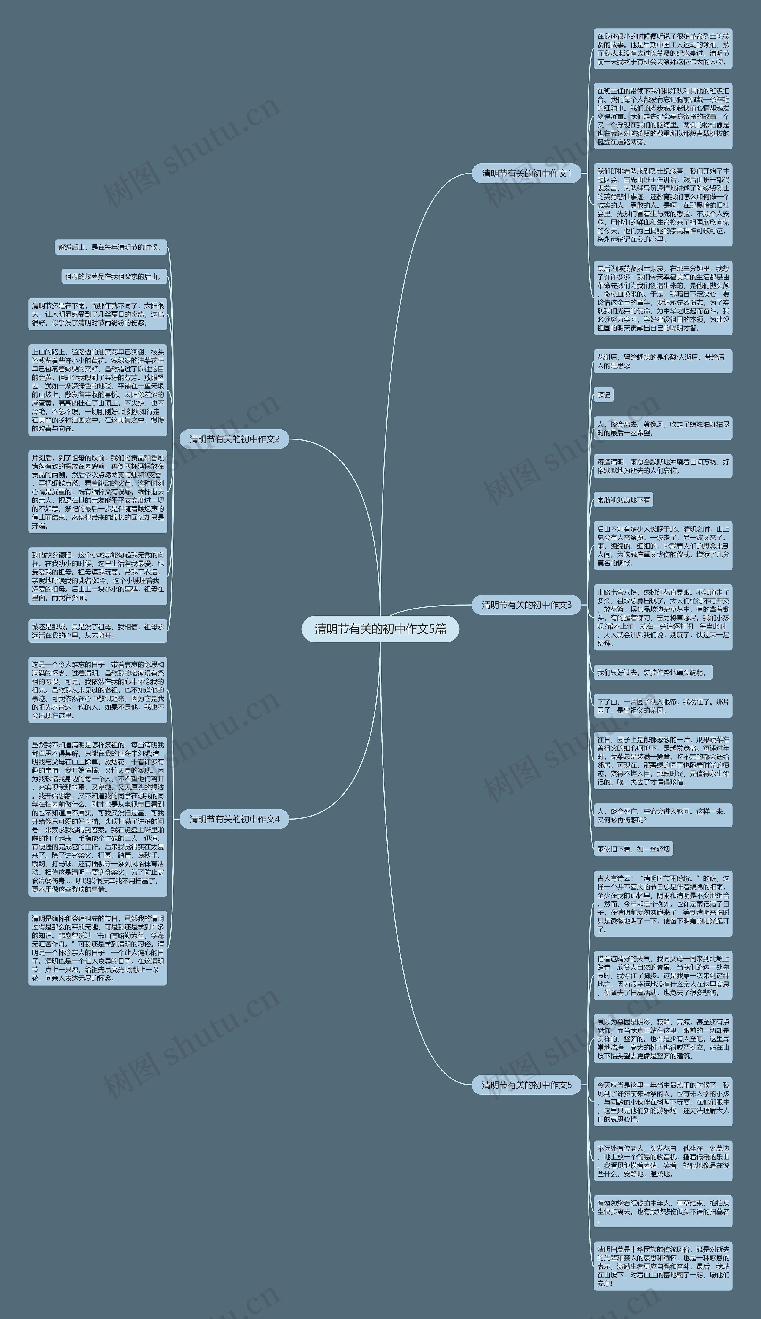 清明节有关的初中作文5篇思维导图