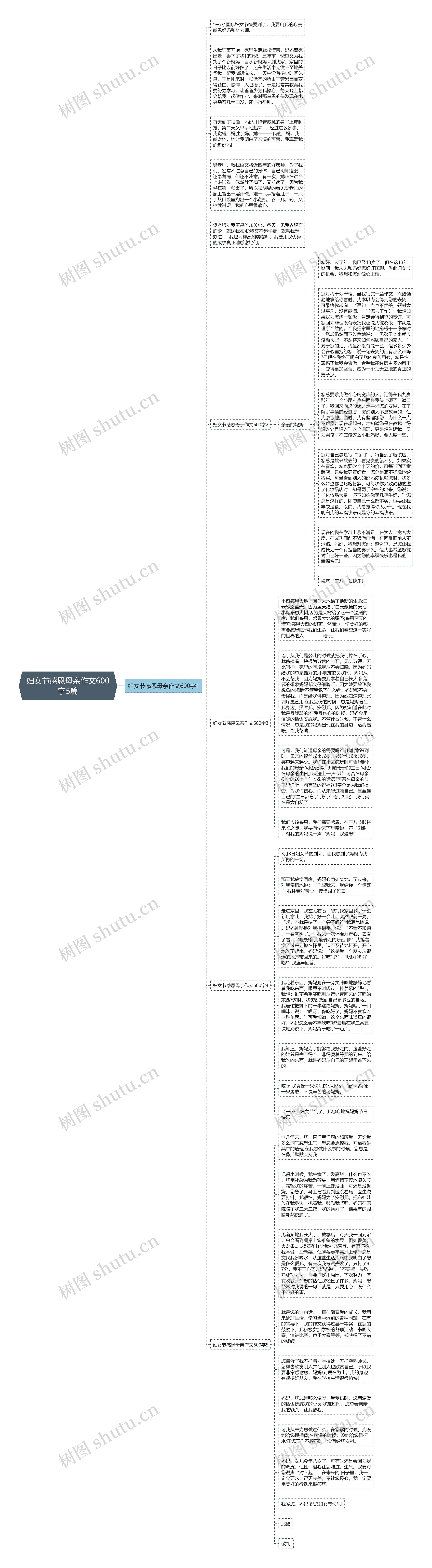 妇女节感恩母亲作文600字5篇思维导图