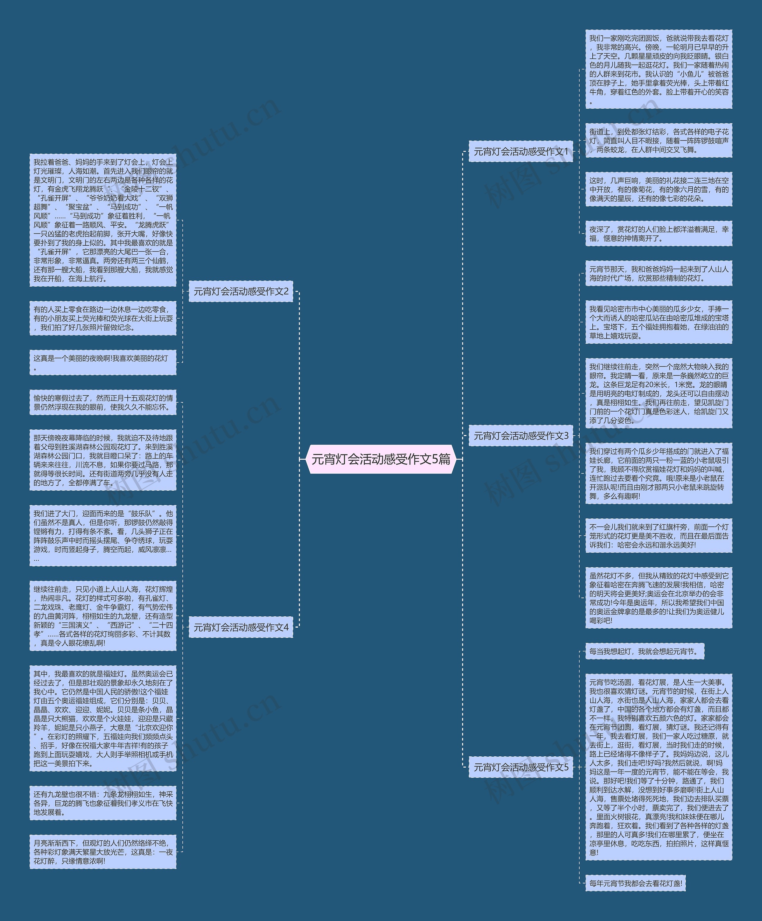 元宵灯会活动感受作文5篇思维导图