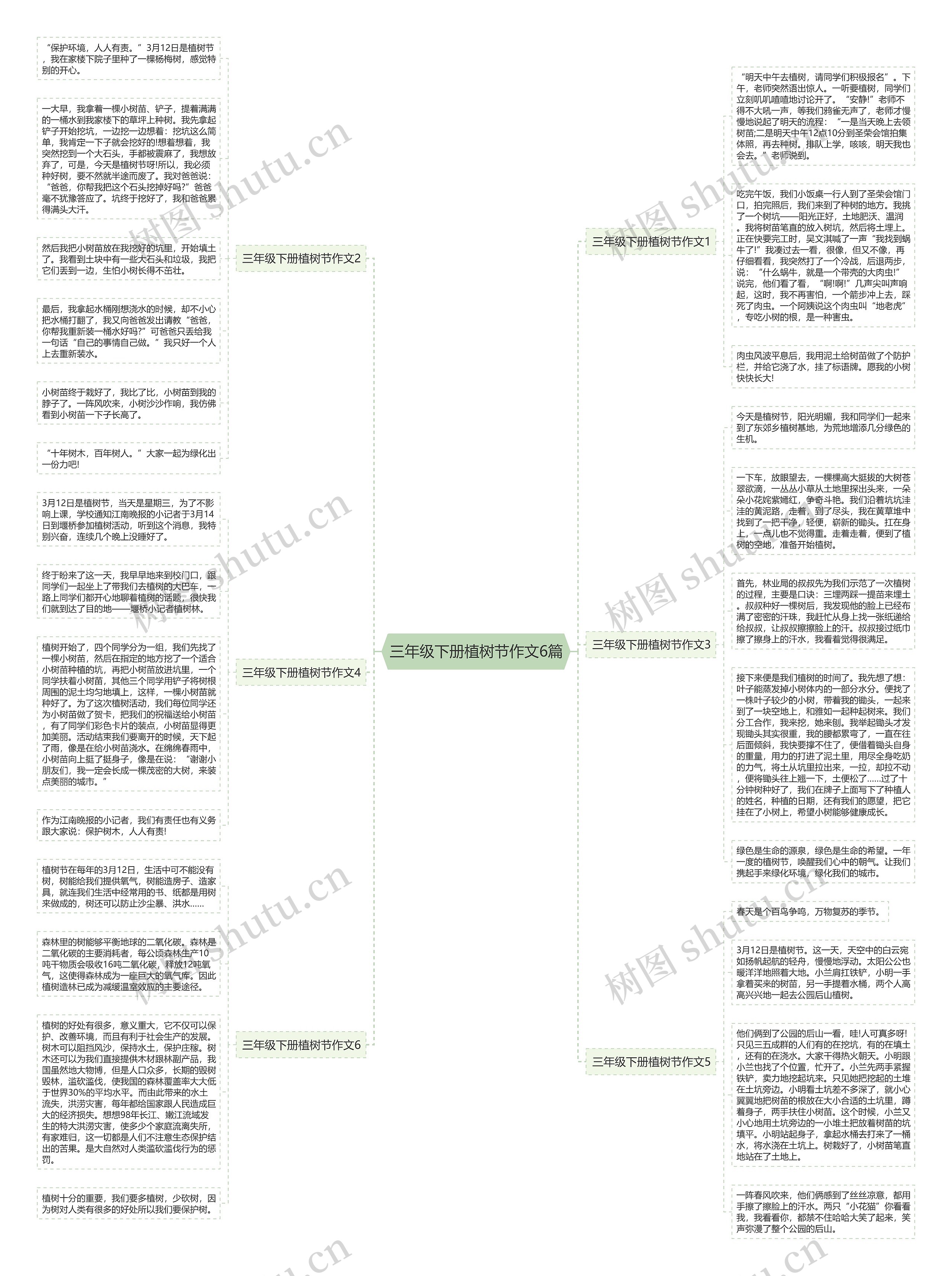 三年级下册植树节作文6篇思维导图