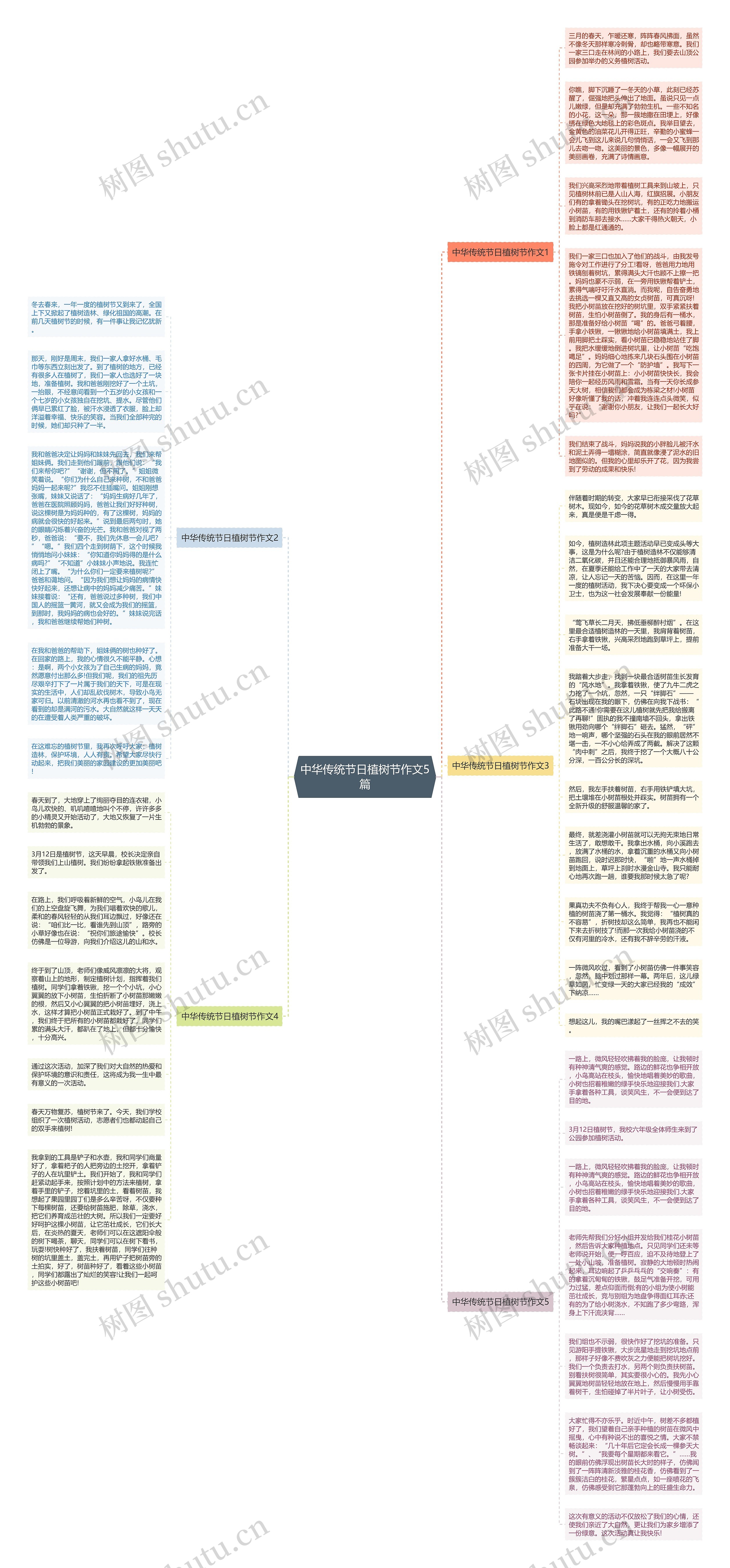 中华传统节日植树节作文5篇思维导图