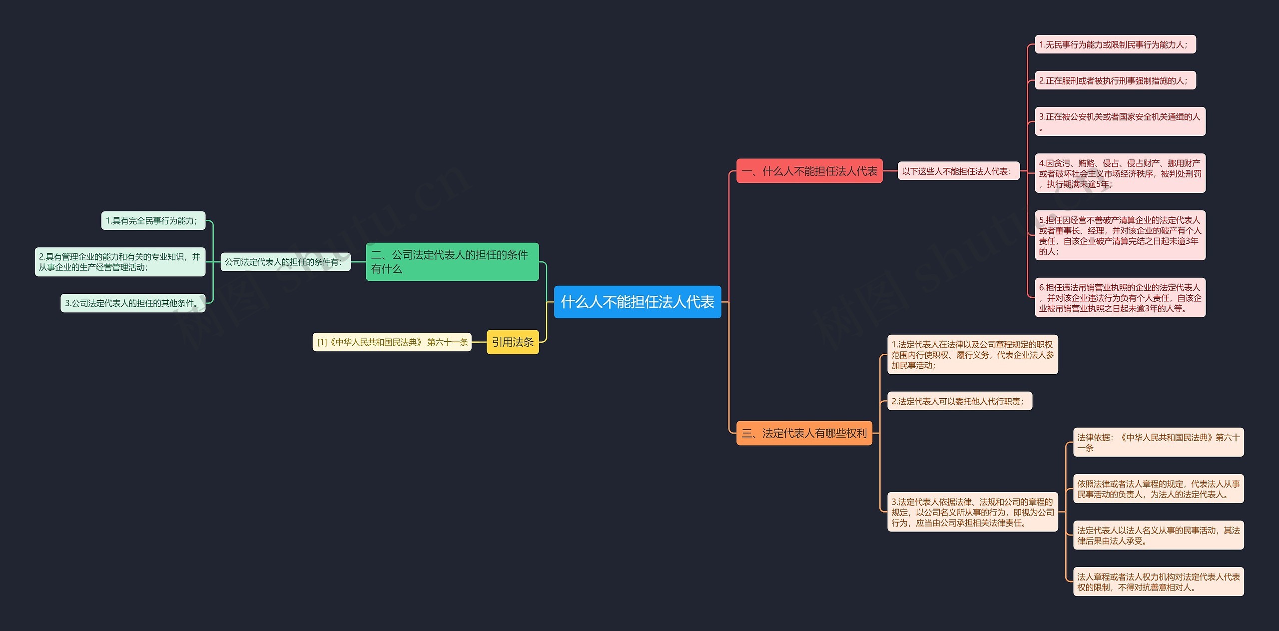 什么人不能担任法人代表思维导图
