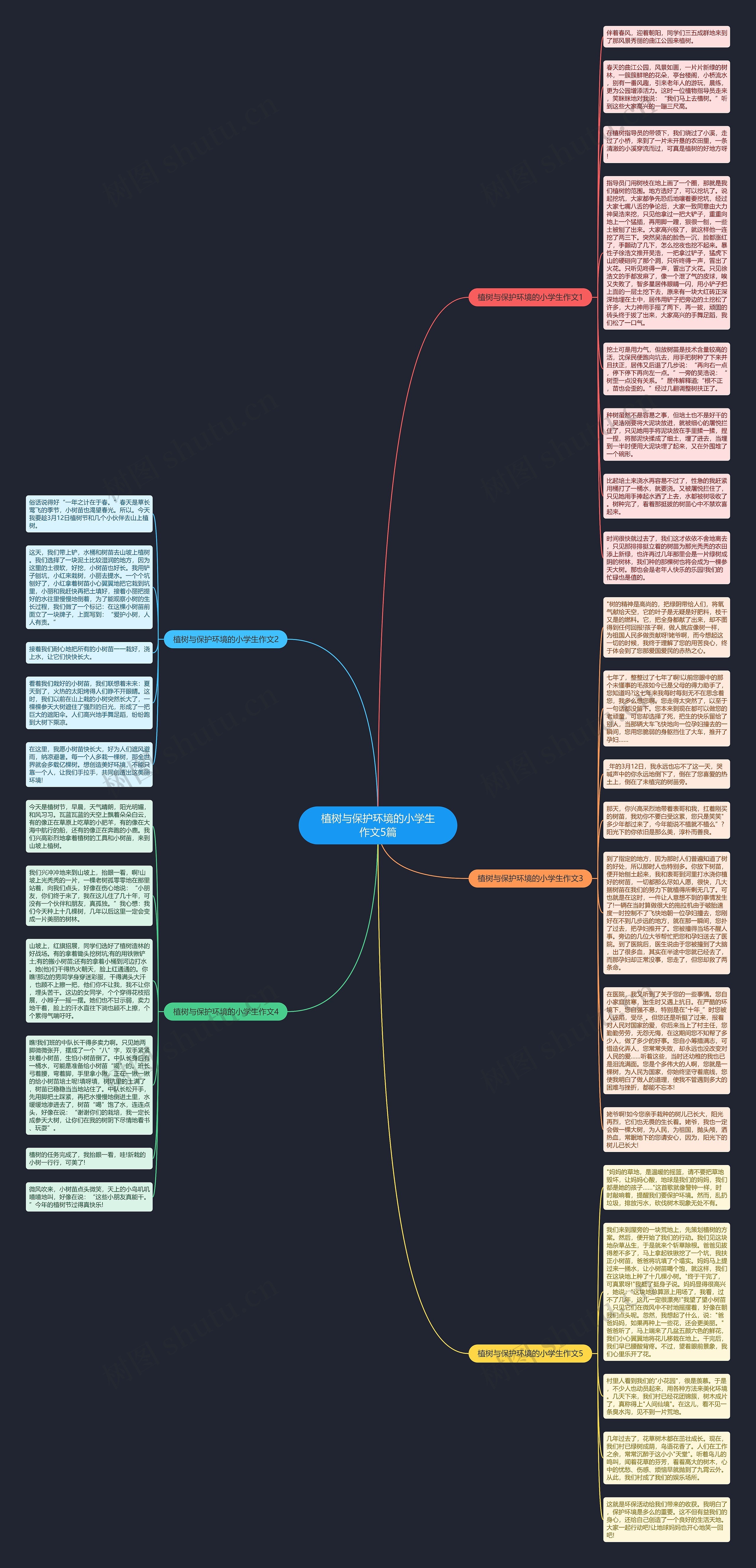 植树与保护环境的小学生作文5篇思维导图