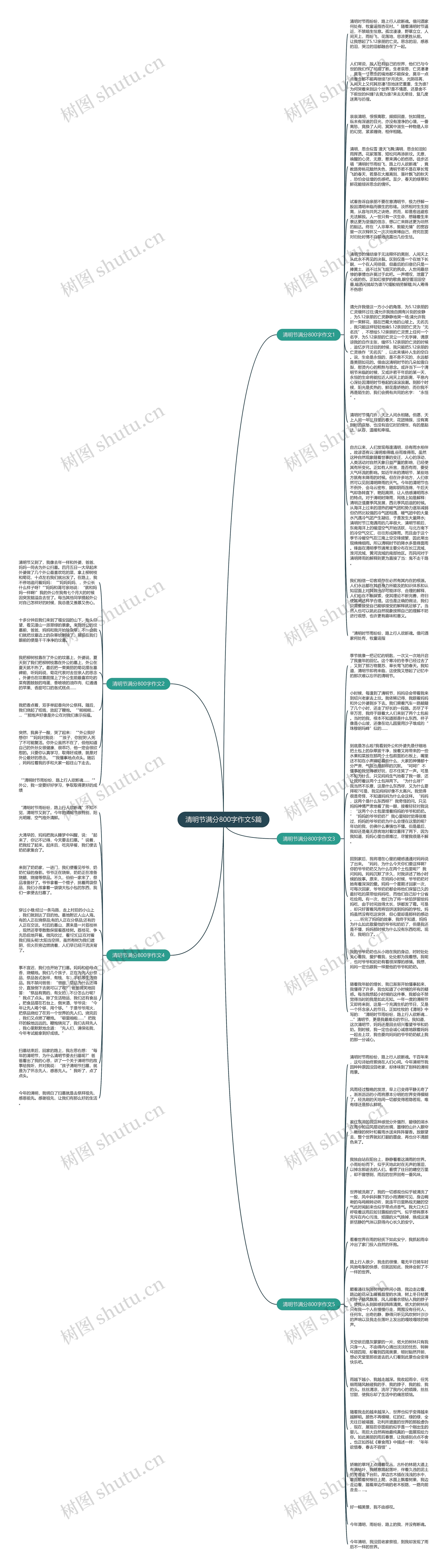 清明节满分800字作文5篇思维导图