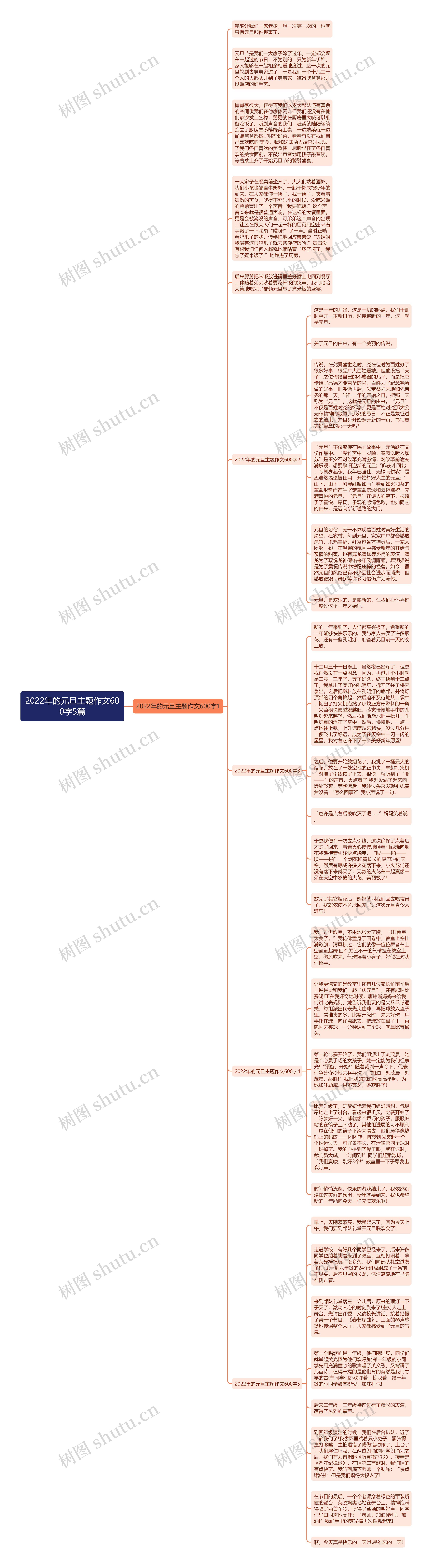 2022年的元旦主题作文600字5篇思维导图