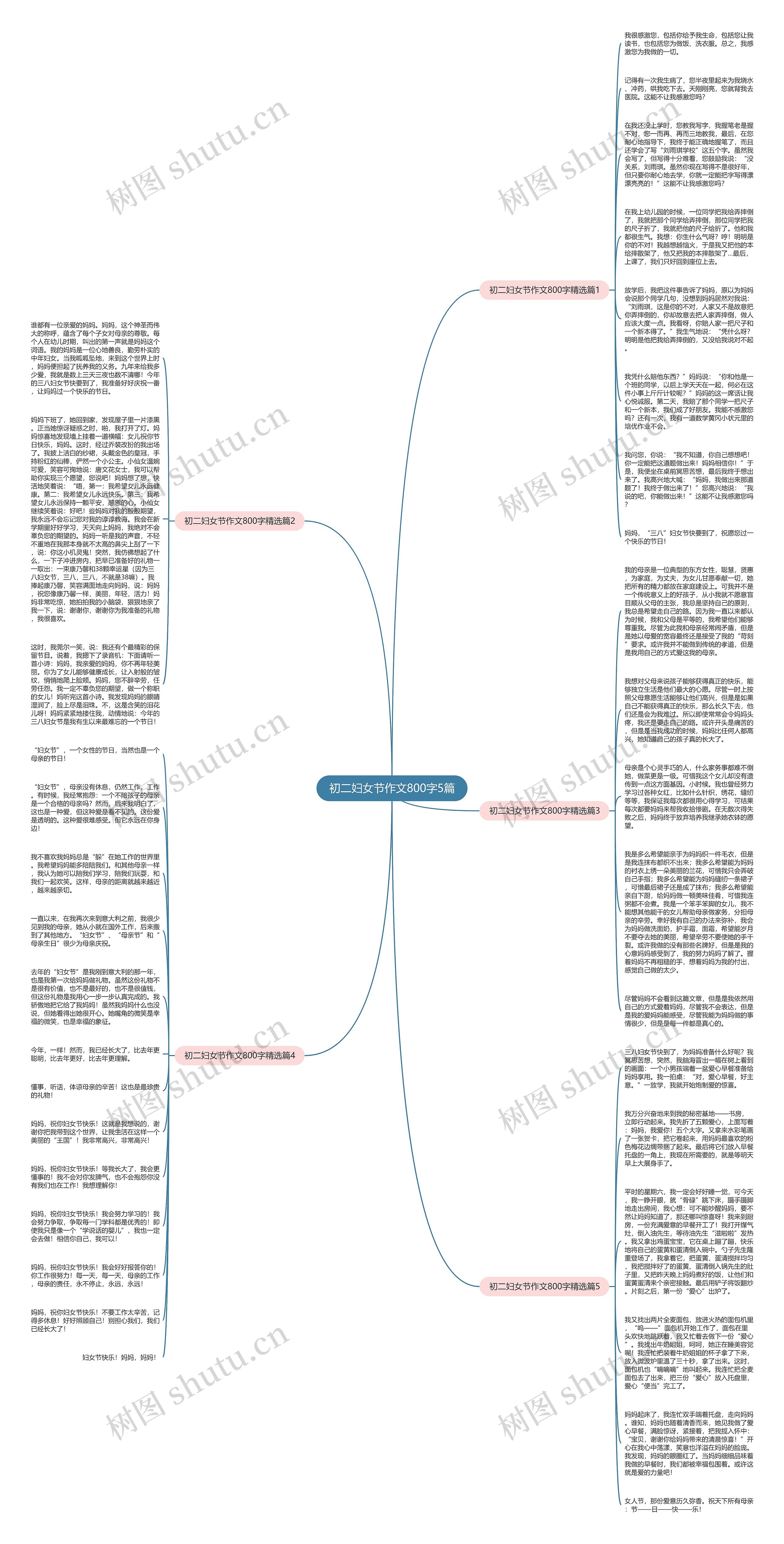初二妇女节作文800字5篇思维导图