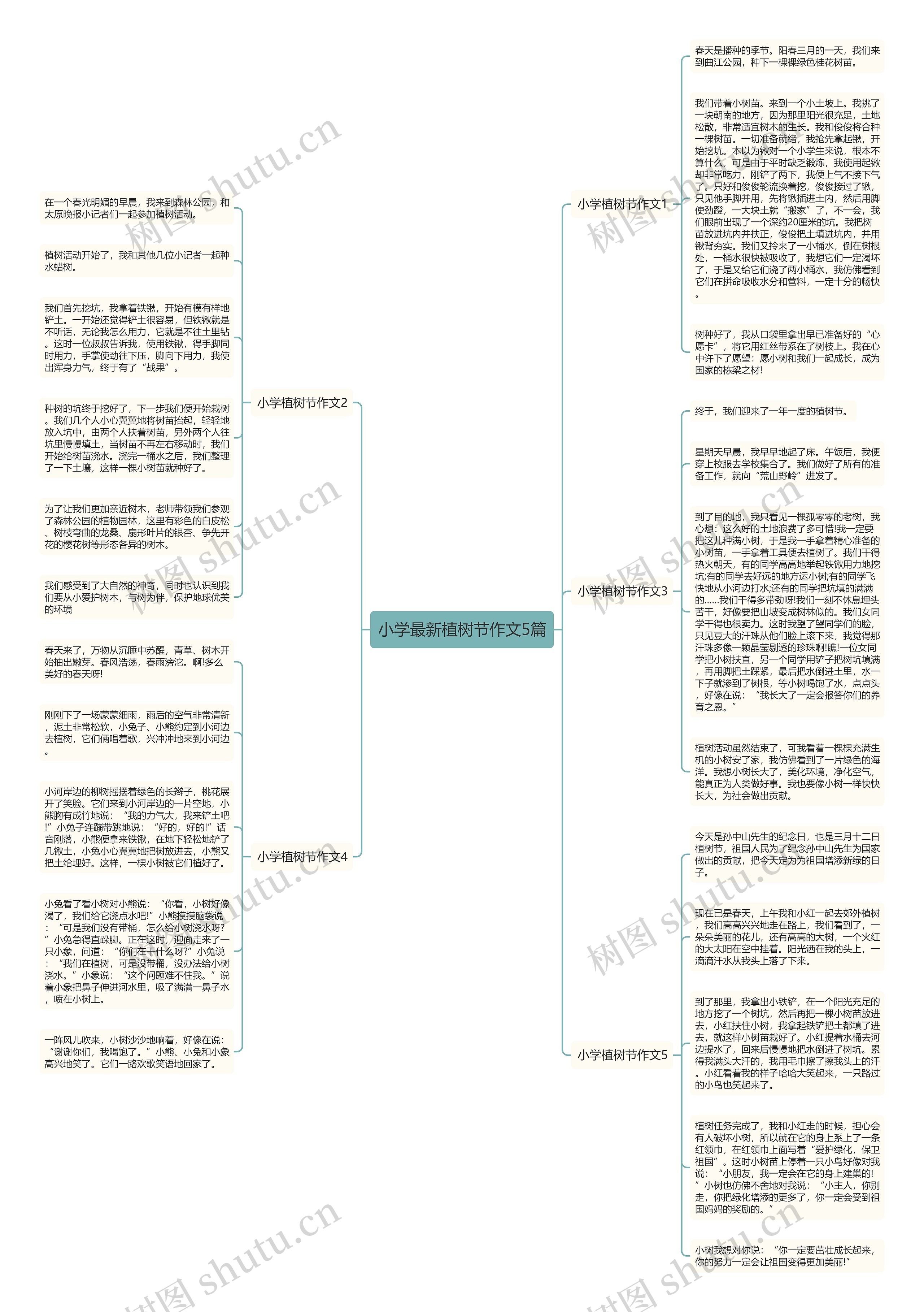 小学最新植树节作文5篇思维导图