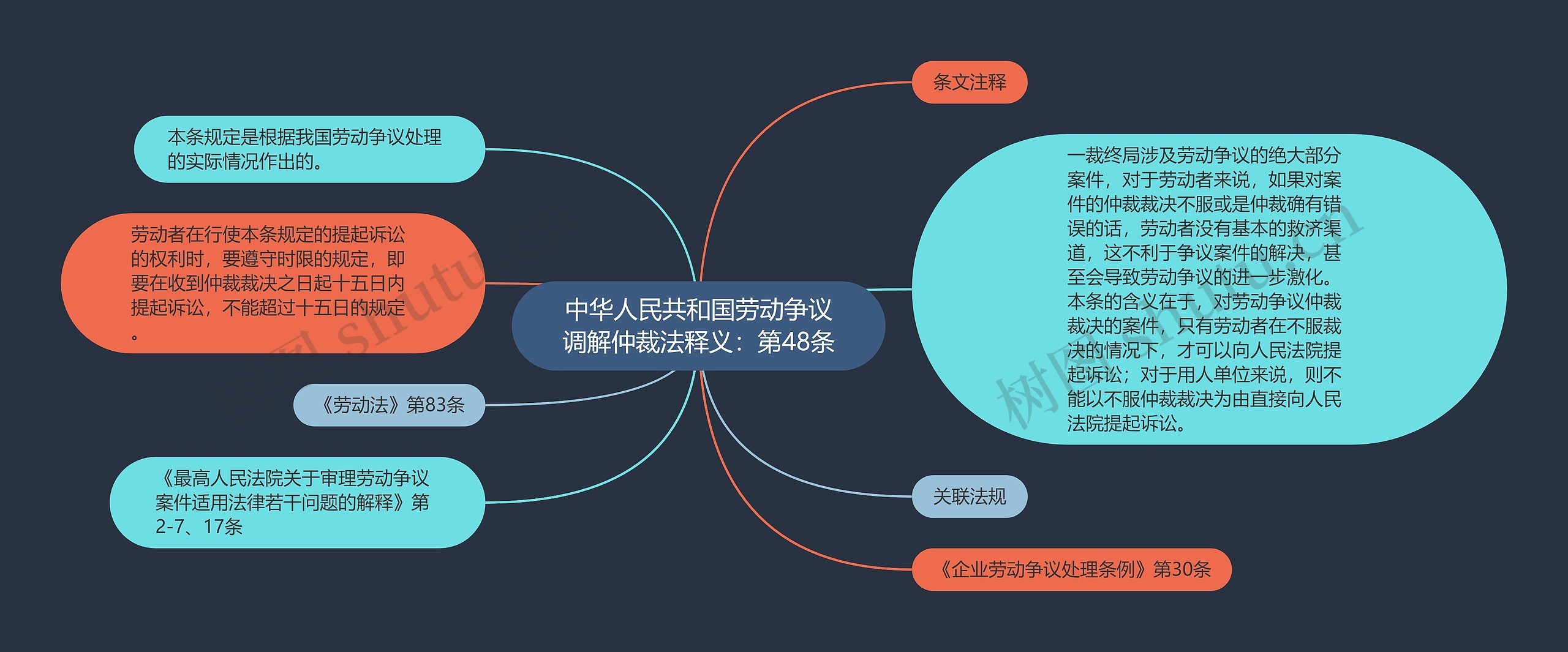 中华人民共和国劳动争议调解仲裁法释义：第48条思维导图