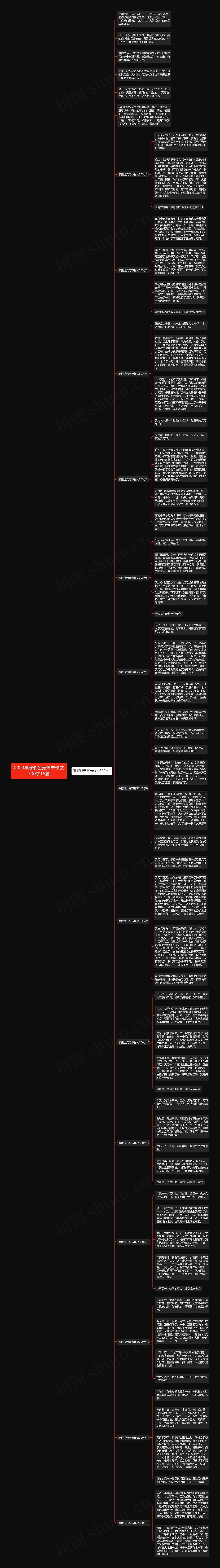 2023年寒假过元宵节作文300字15篇