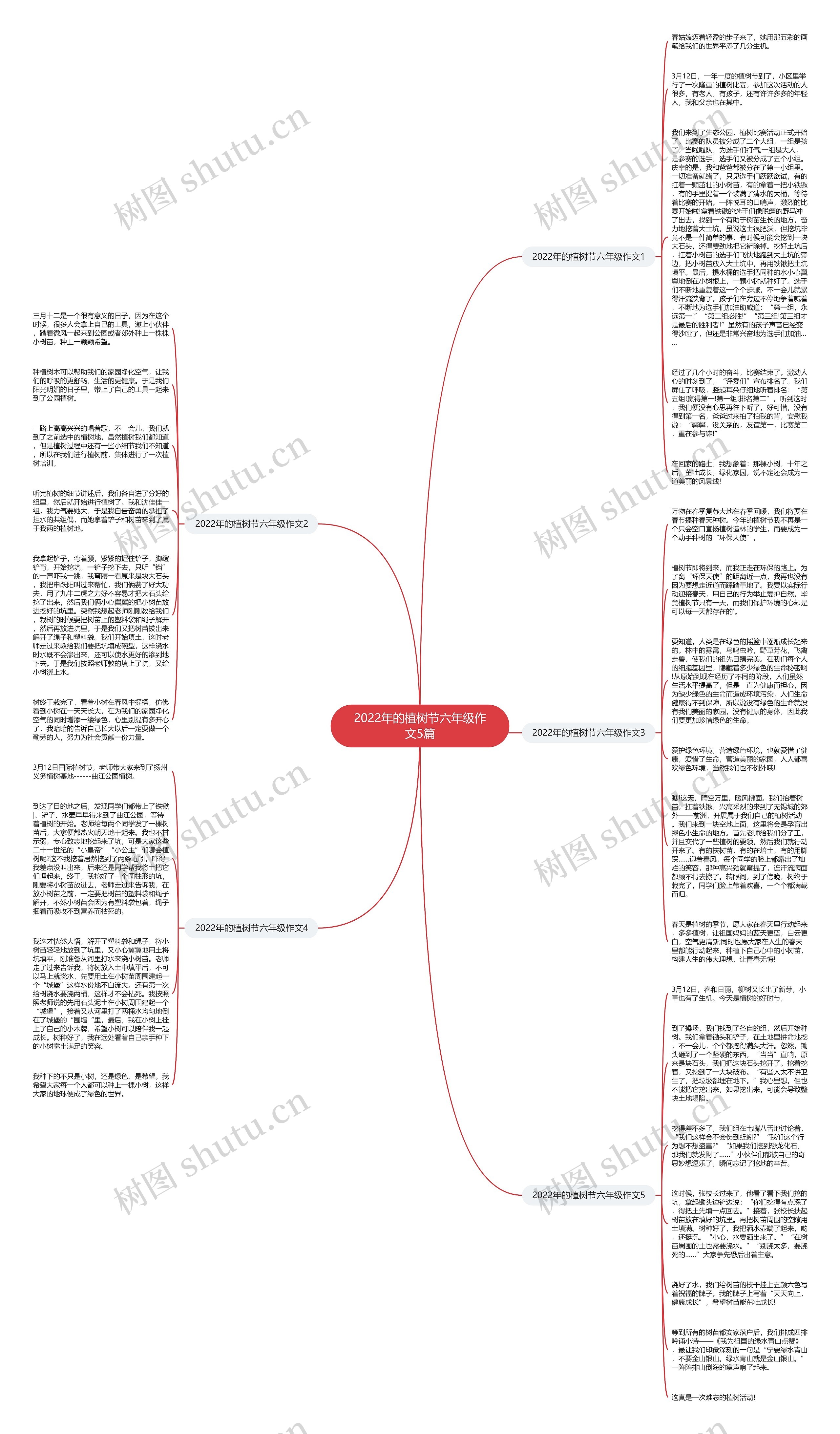 2022年的植树节六年级作文5篇思维导图