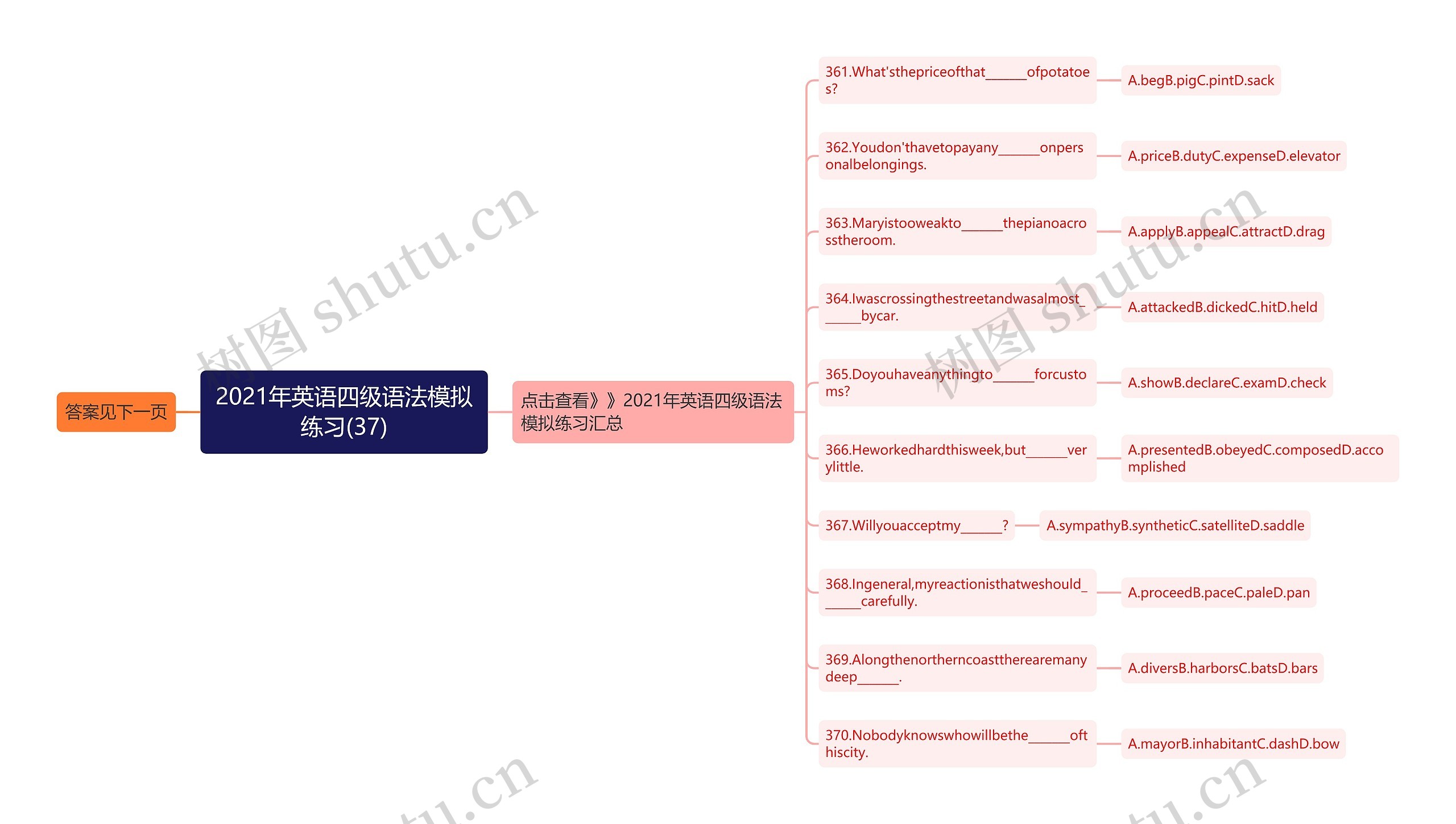 2021年英语四级语法模拟练习(37)思维导图