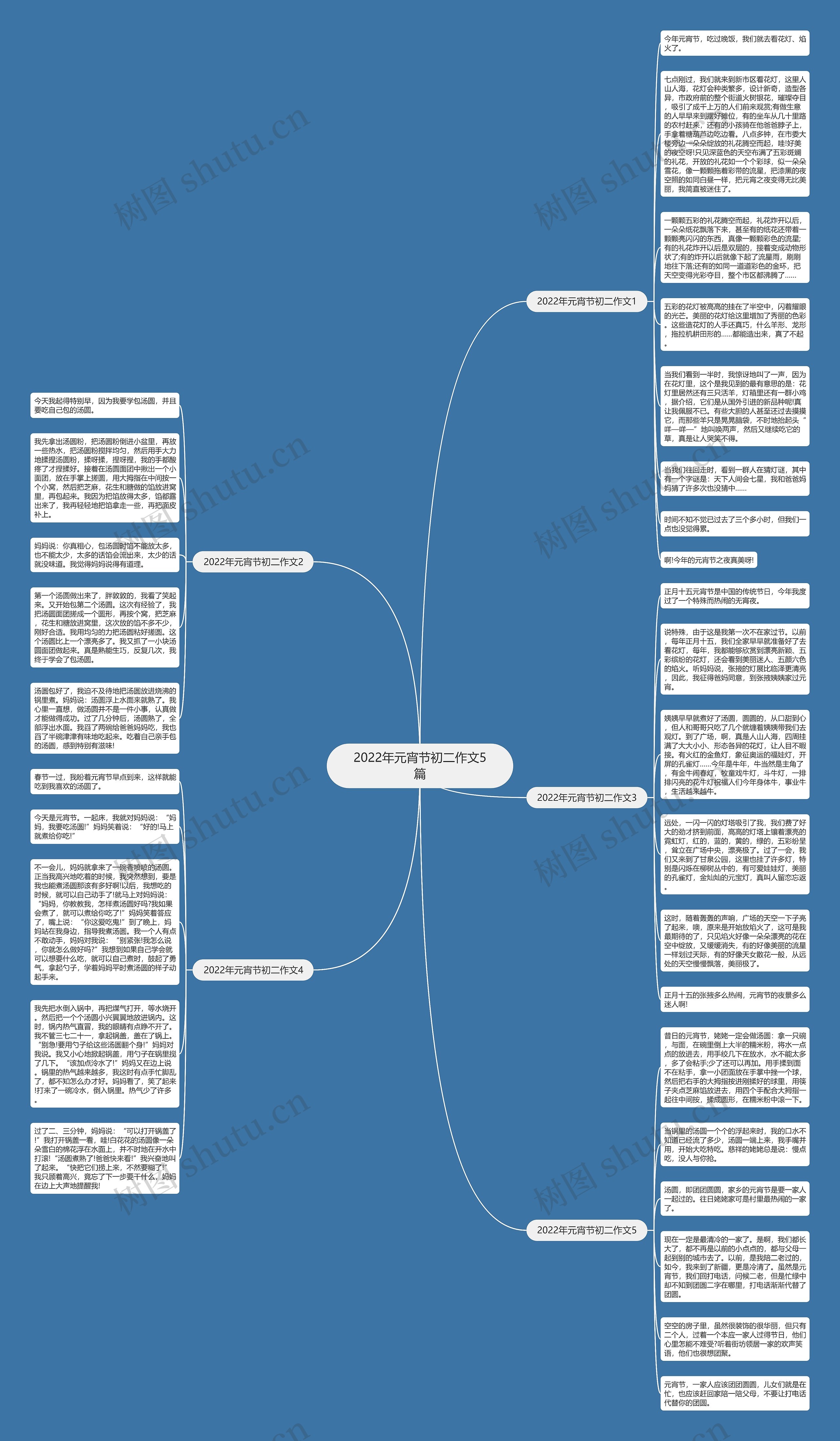 2022年元宵节初二作文5篇思维导图