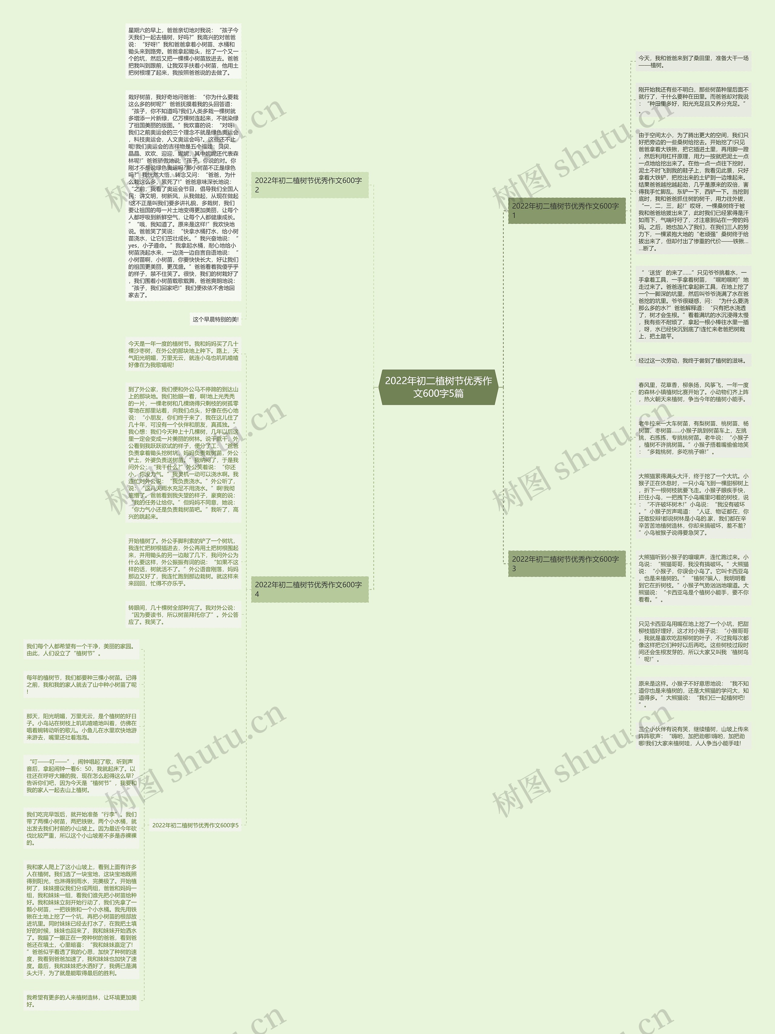 2022年初二植树节优秀作文600字5篇思维导图