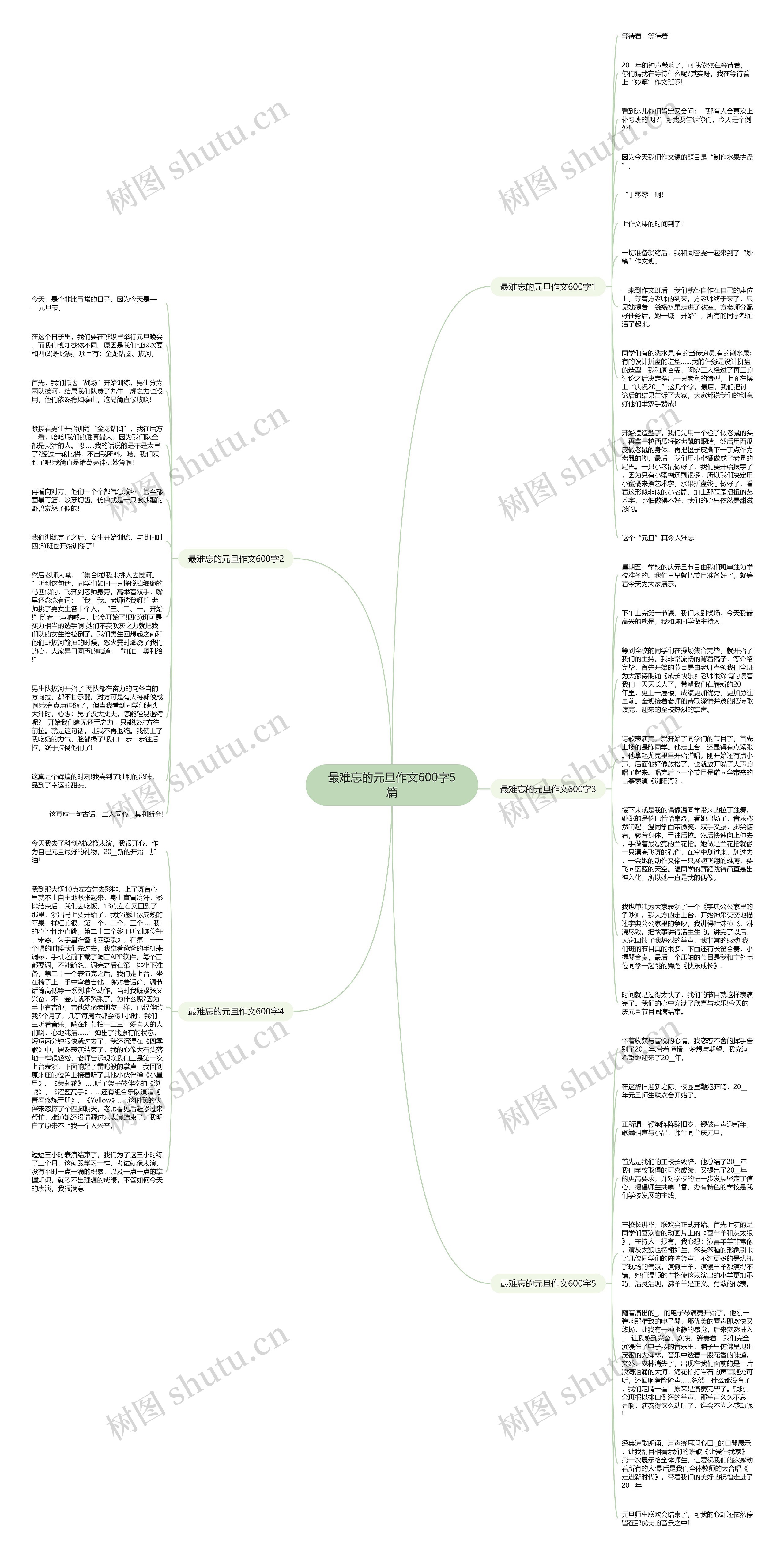 最难忘的元旦作文600字5篇思维导图