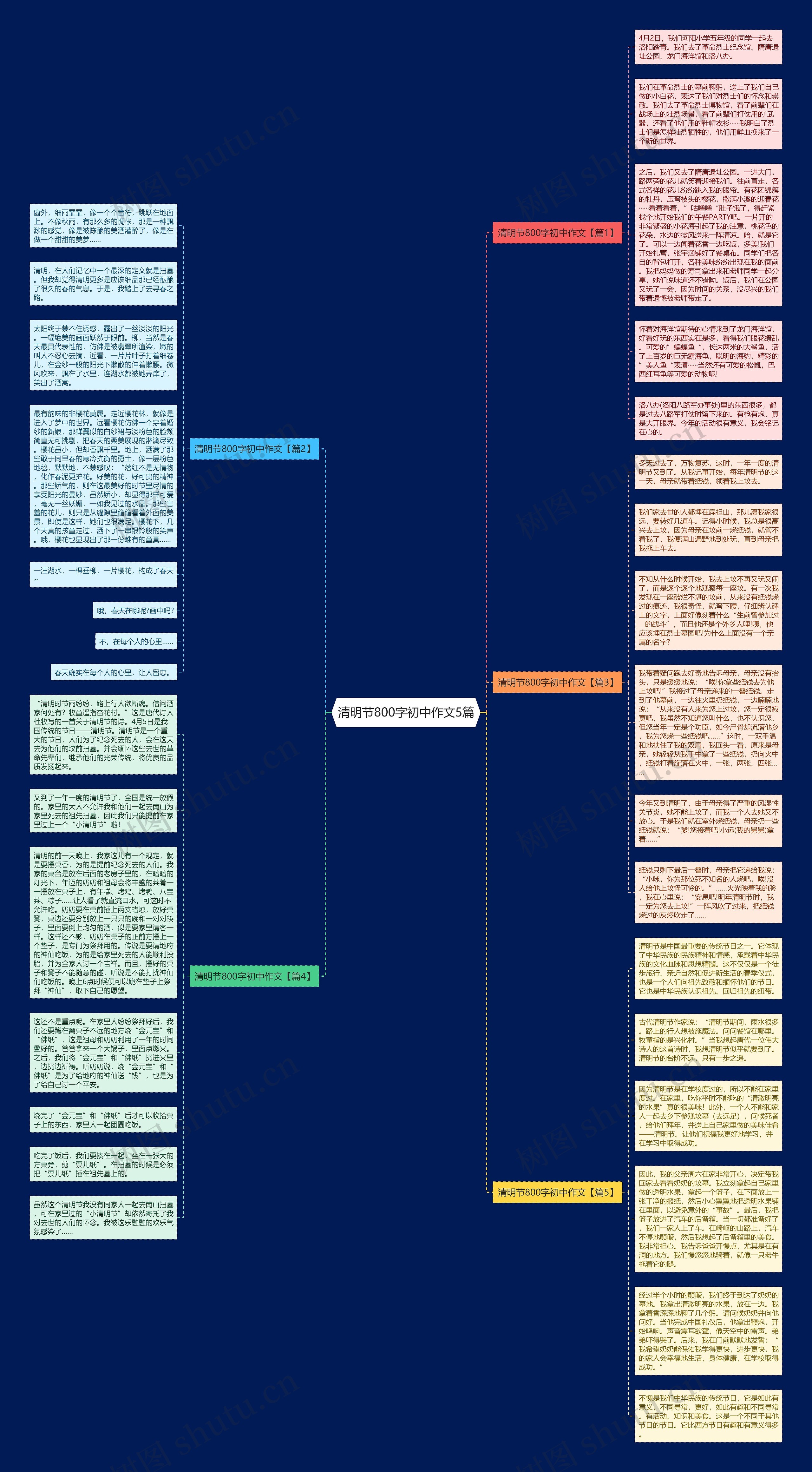 清明节800字初中作文5篇思维导图