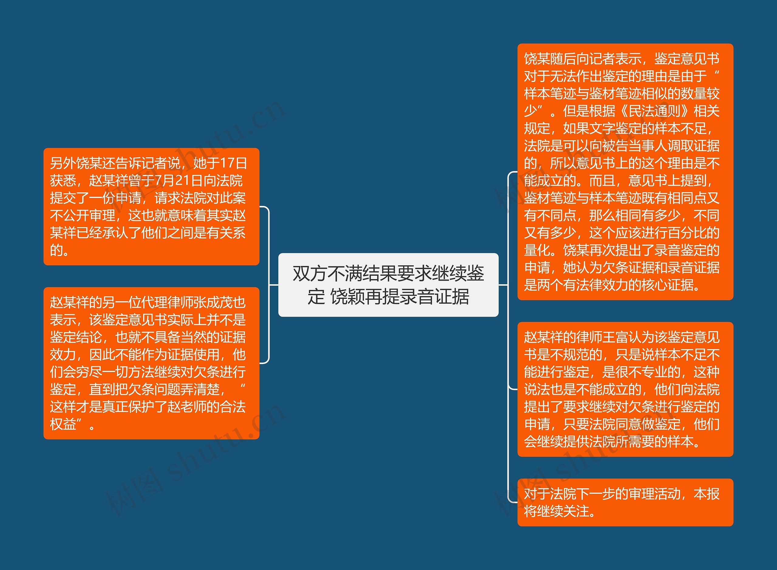 双方不满结果要求继续鉴定 饶颖再提录音证据思维导图