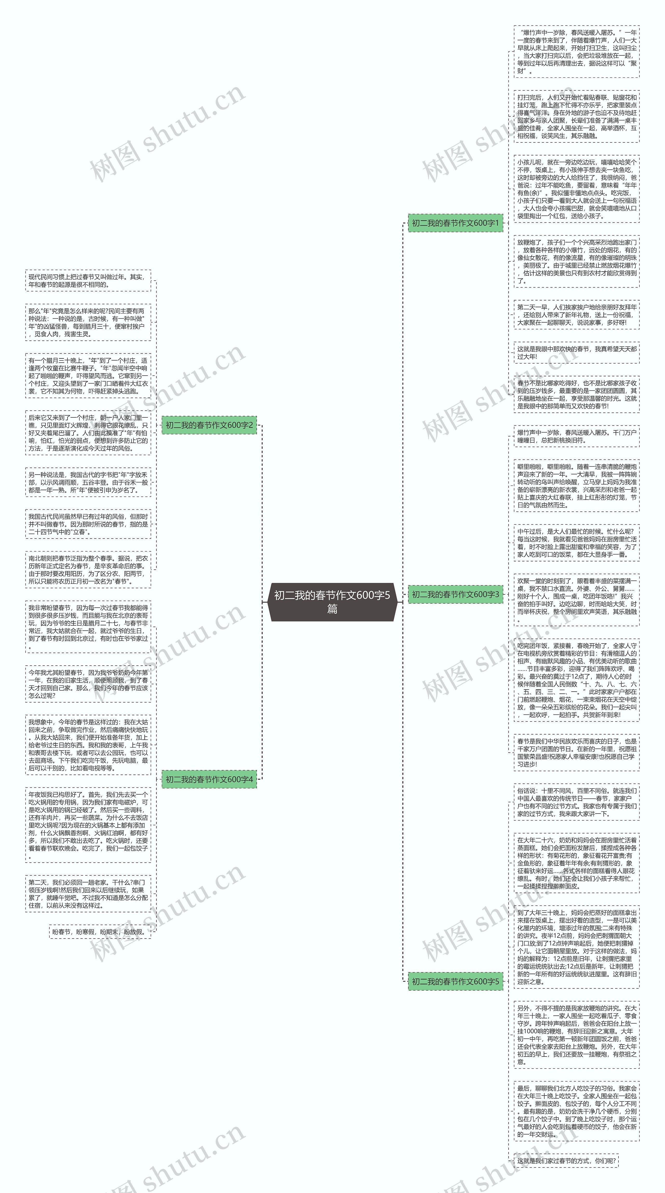 初二我的春节作文600字5篇思维导图