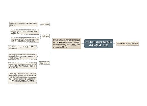 2023年上半年英语四级语法考点复习：little