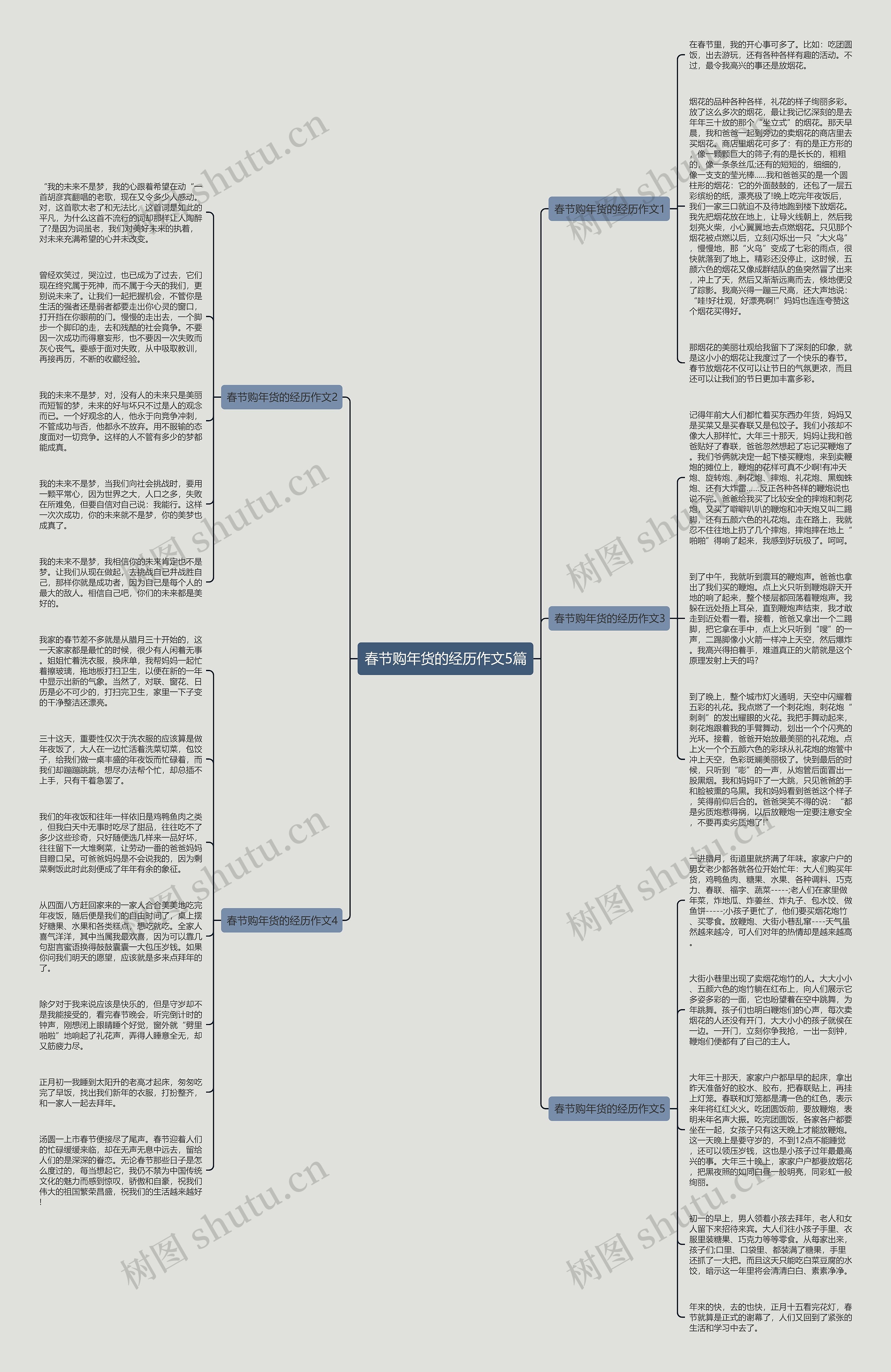 春节购年货的经历作文5篇思维导图