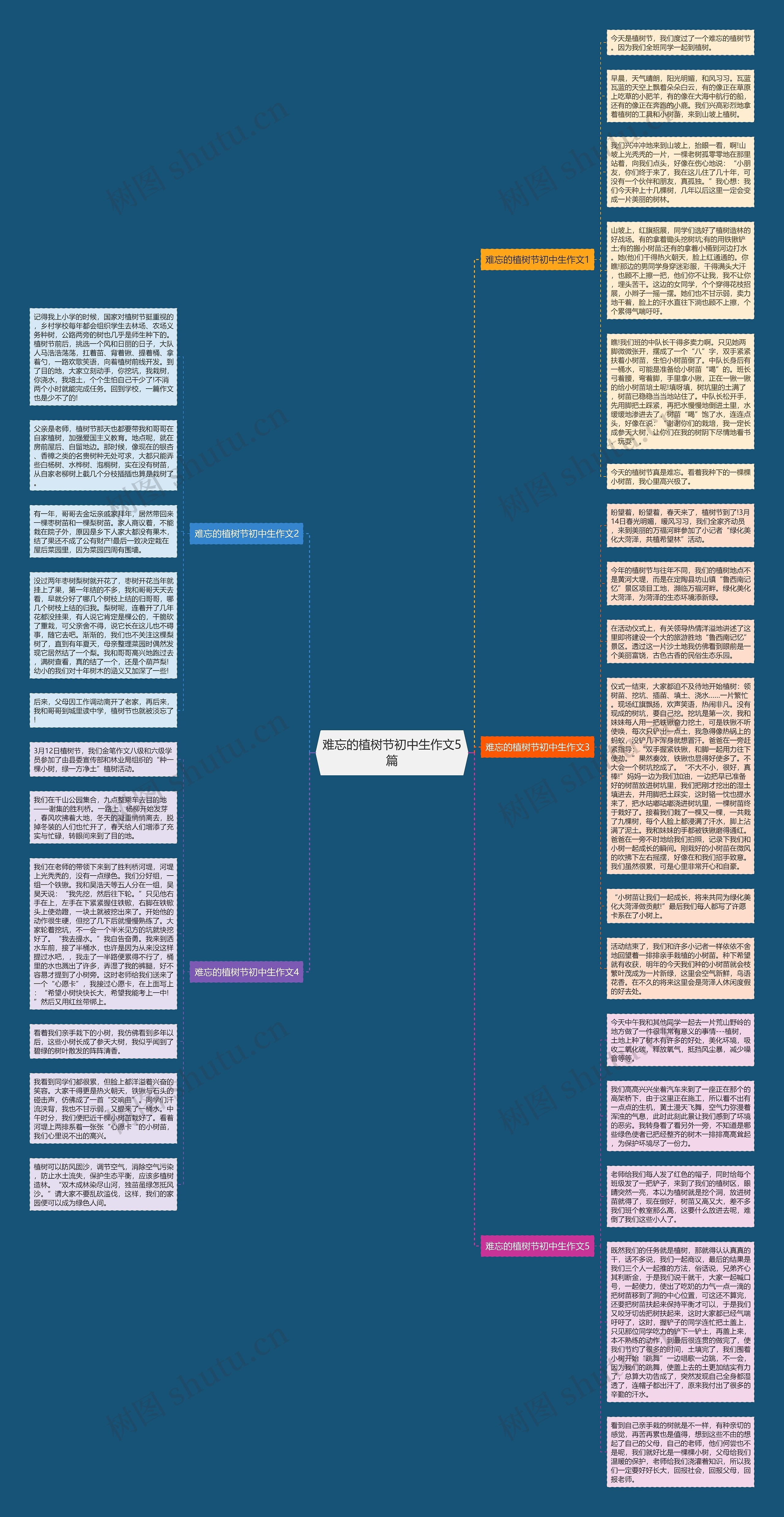 难忘的植树节初中生作文5篇思维导图