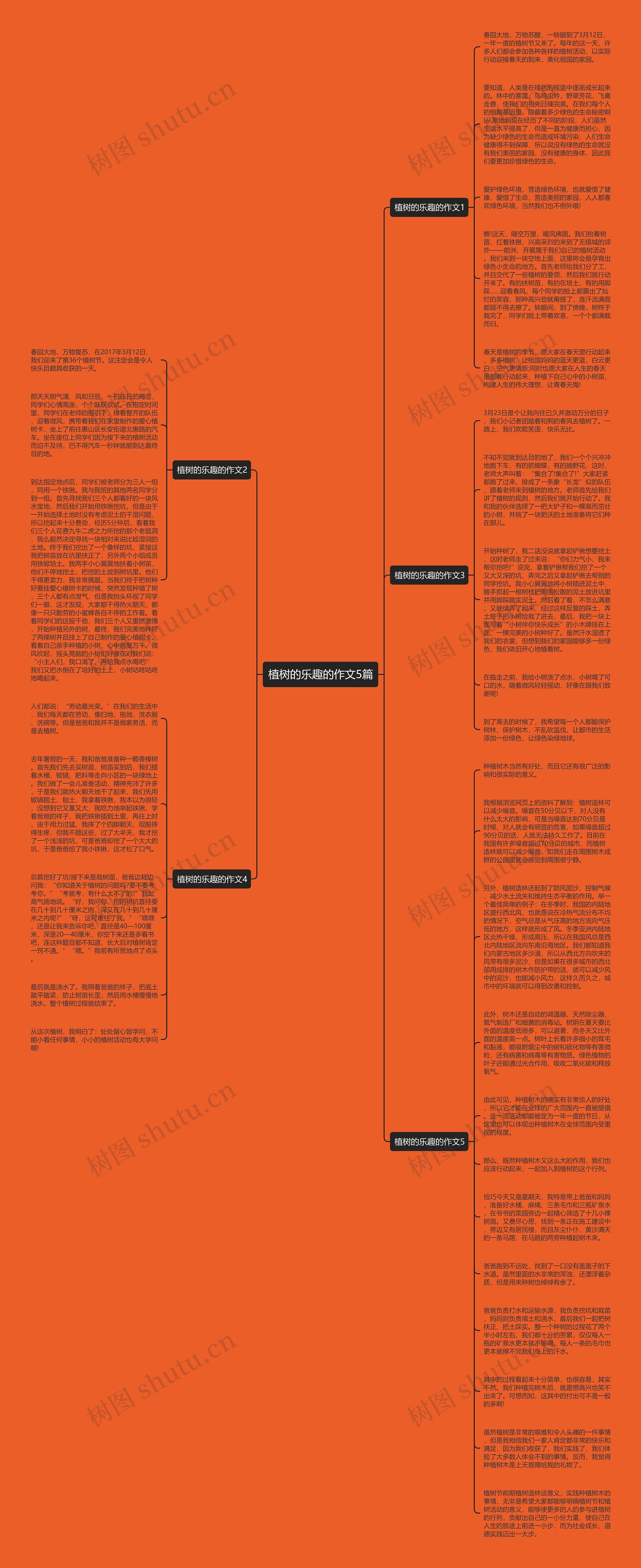植树的乐趣的作文5篇思维导图