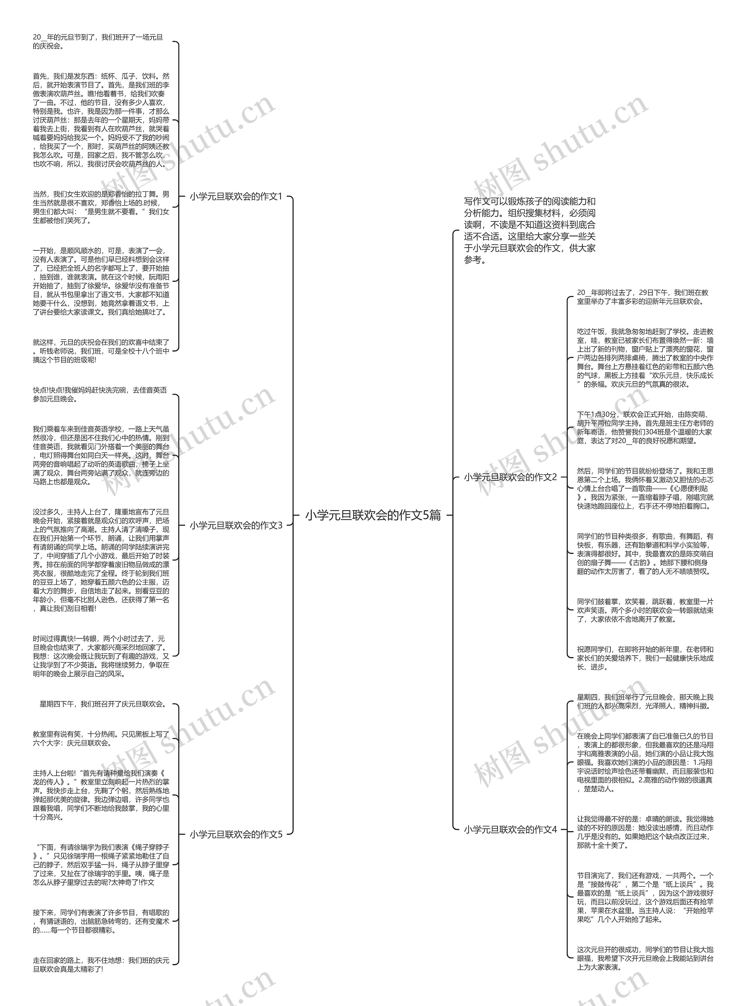 小学元旦联欢会的作文5篇思维导图