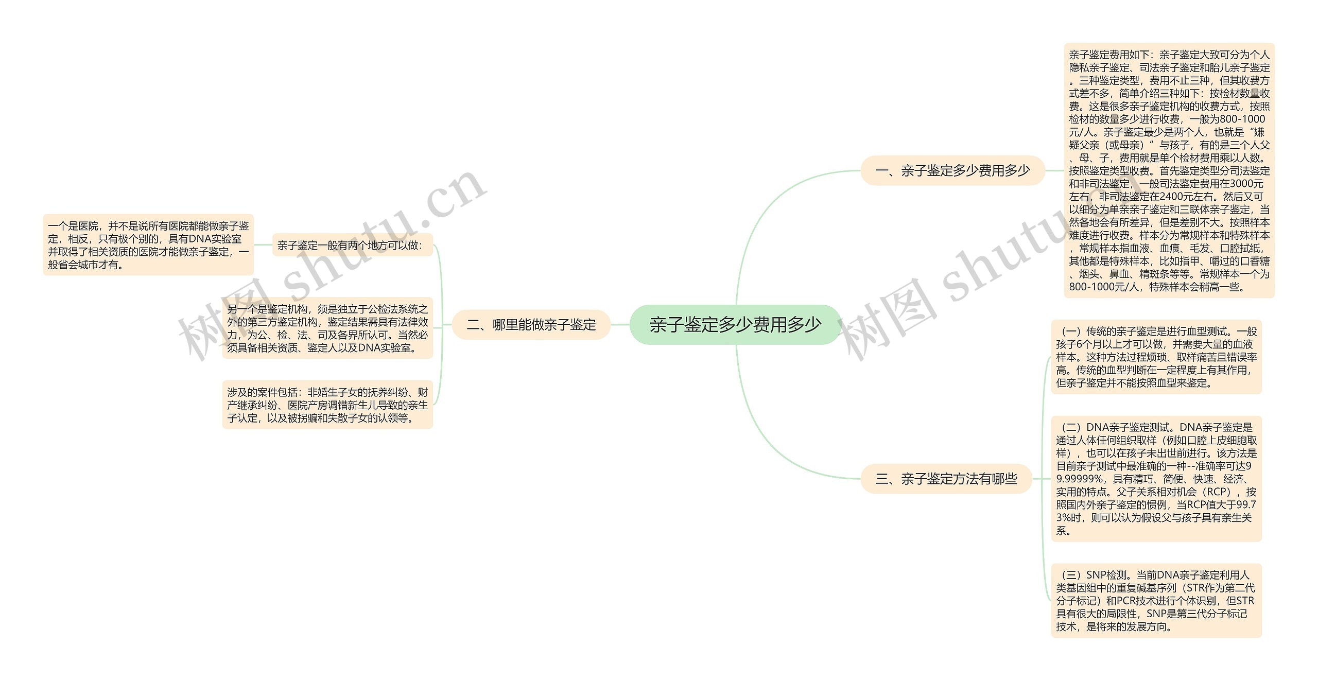 亲子鉴定多少费用多少