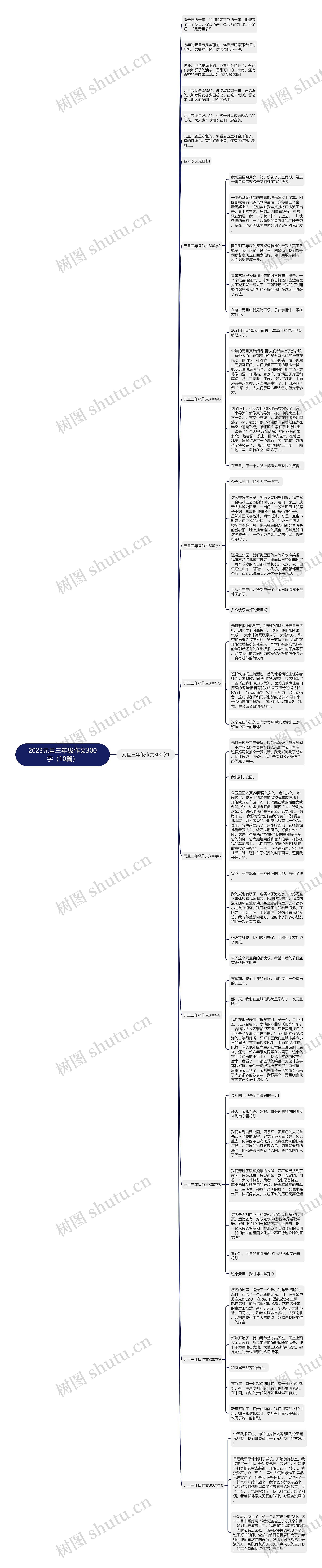 2023元旦三年级作文300字（10篇）