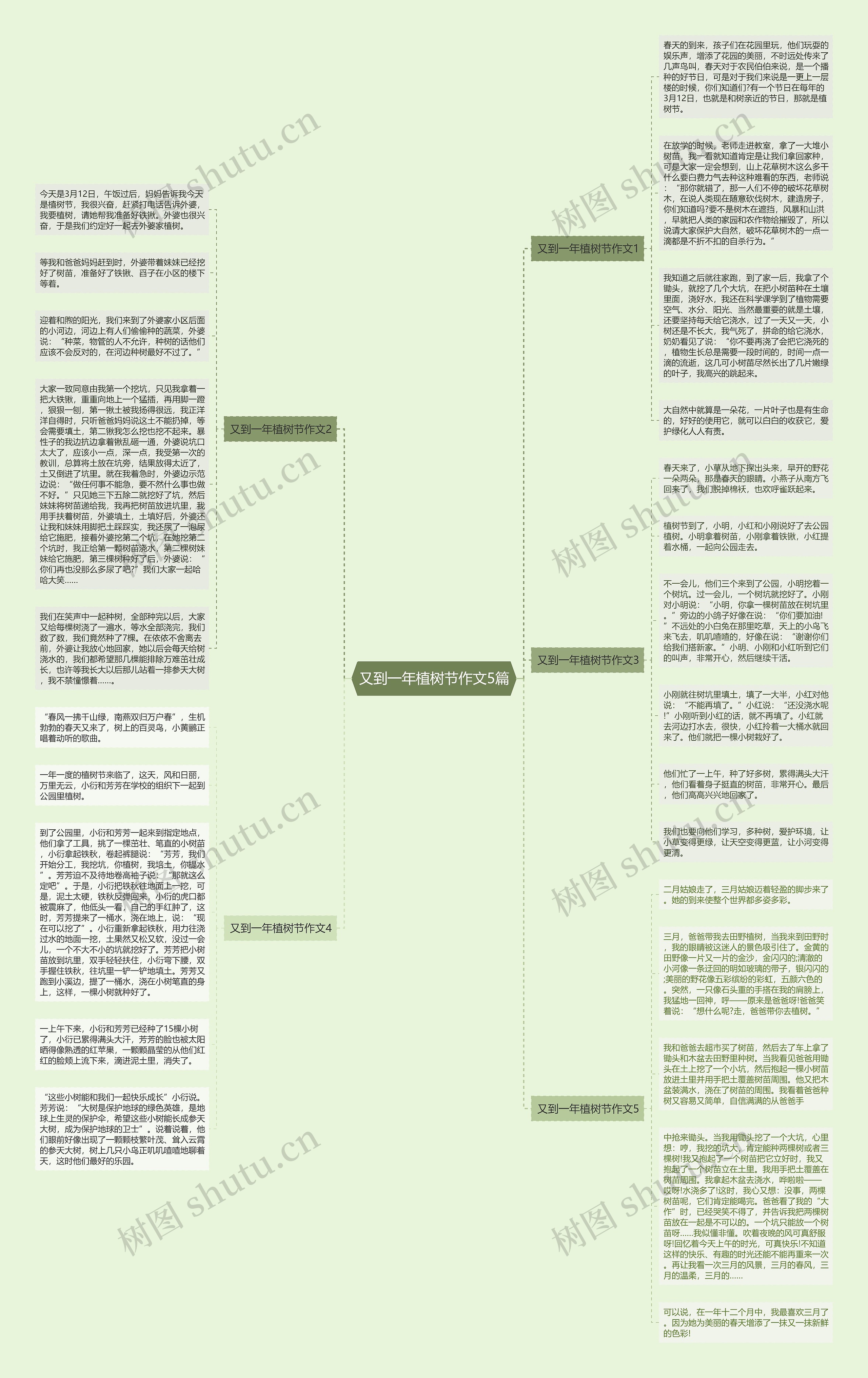 又到一年植树节作文5篇思维导图