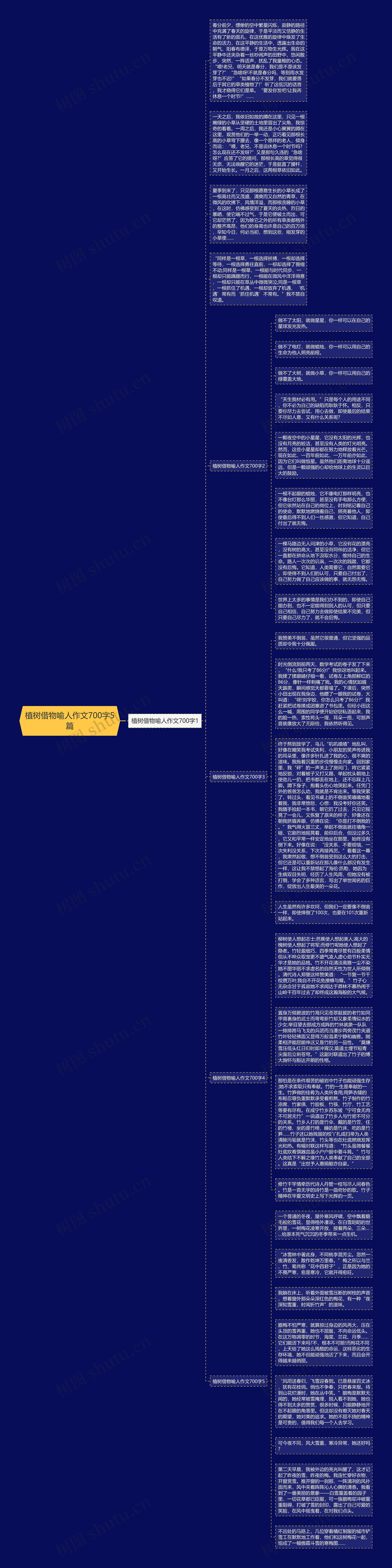 植树借物喻人作文700字5篇思维导图