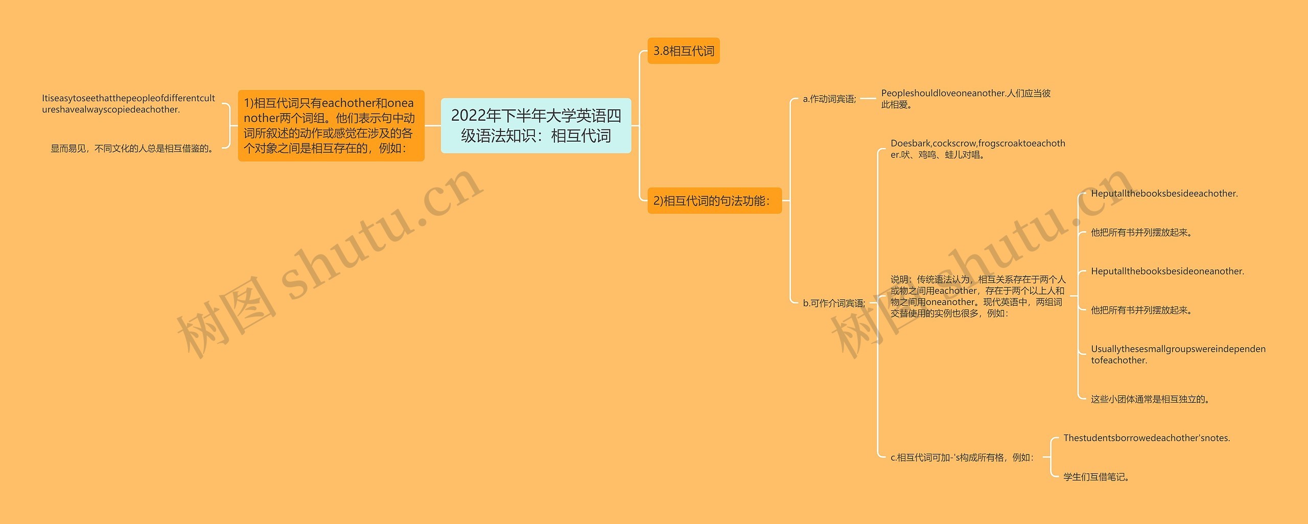 2022年下半年大学英语四级语法知识：相互代词