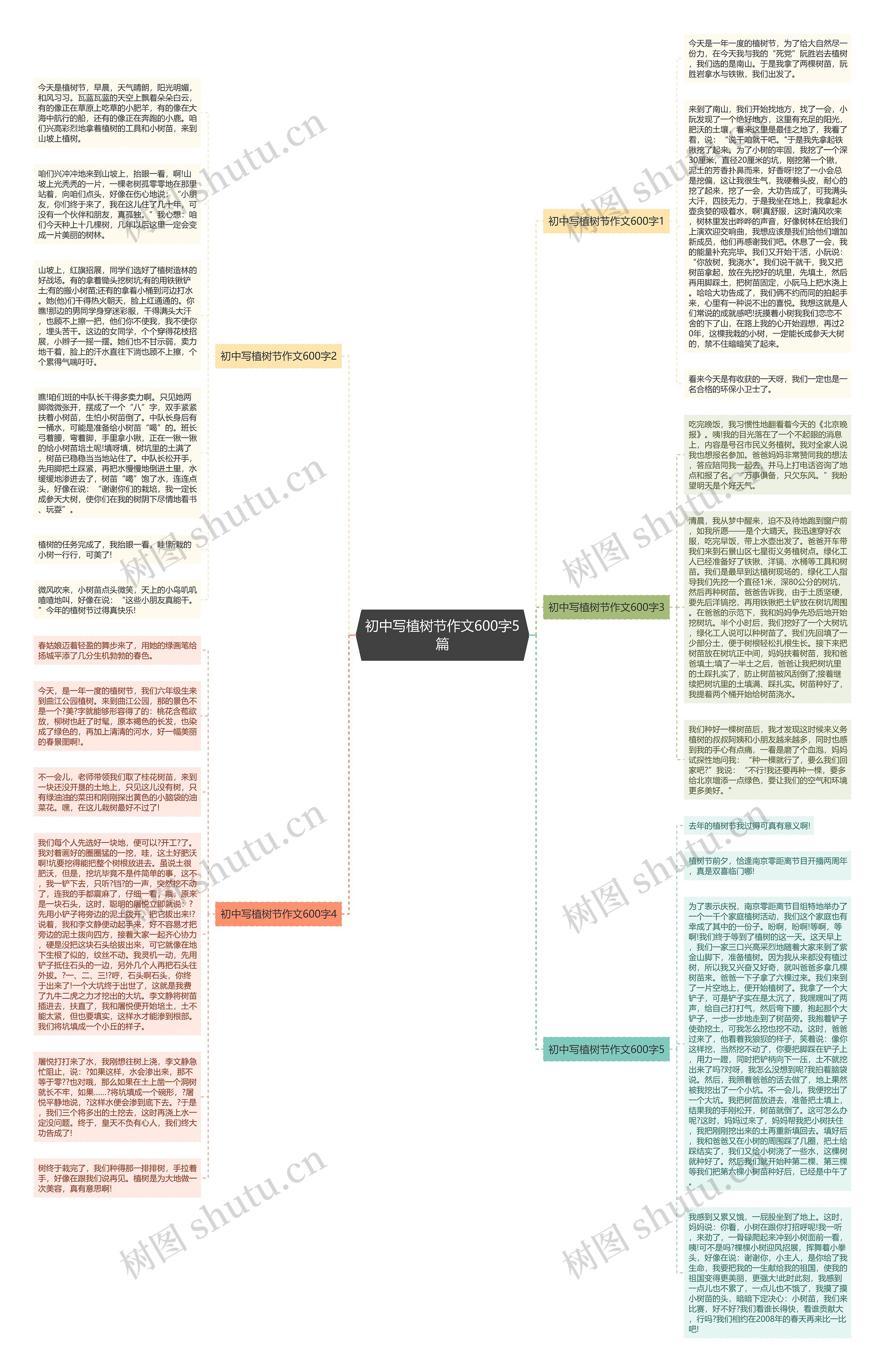 初中写植树节作文600字5篇思维导图