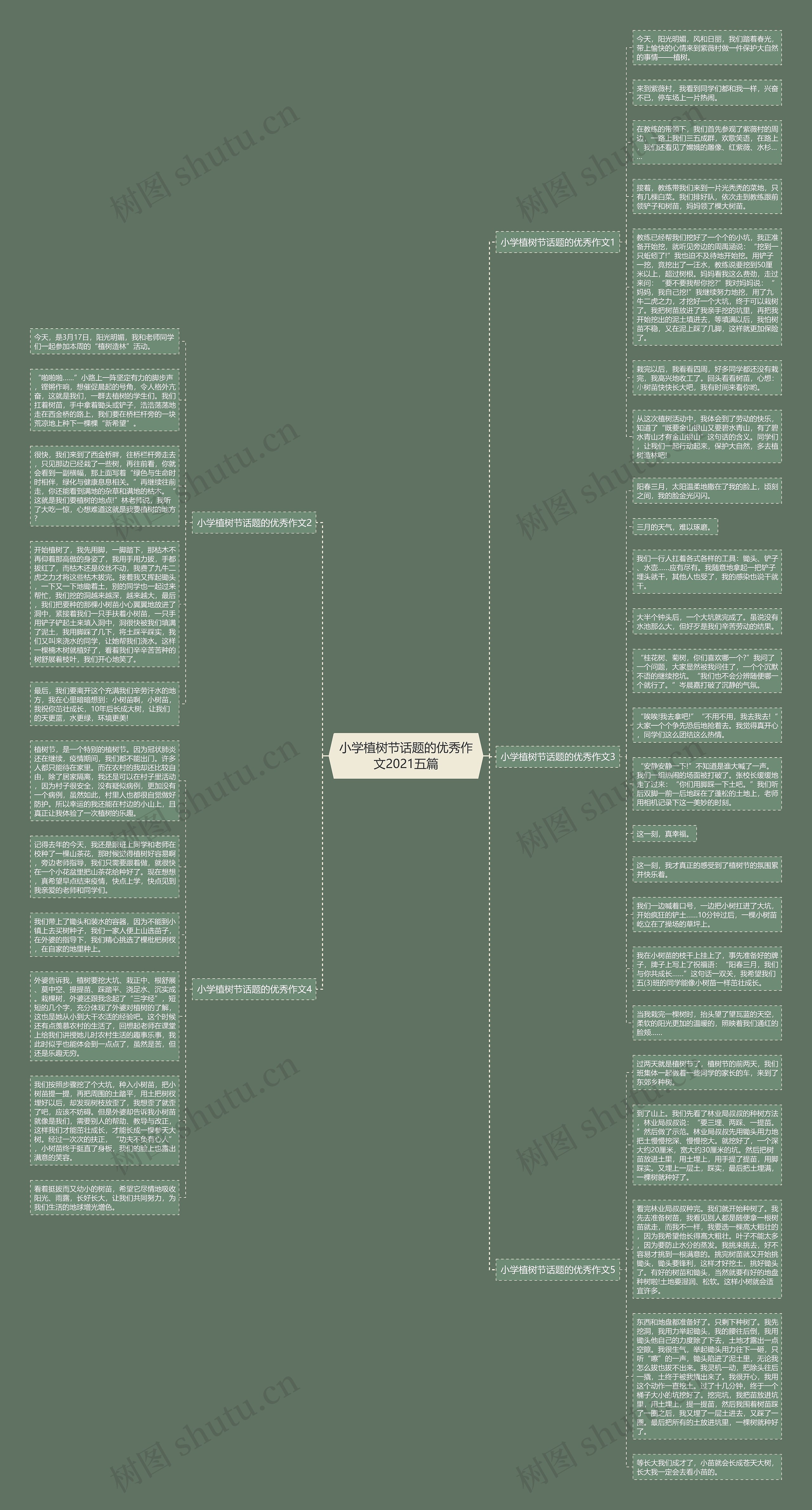 小学植树节话题的优秀作文2021五篇思维导图